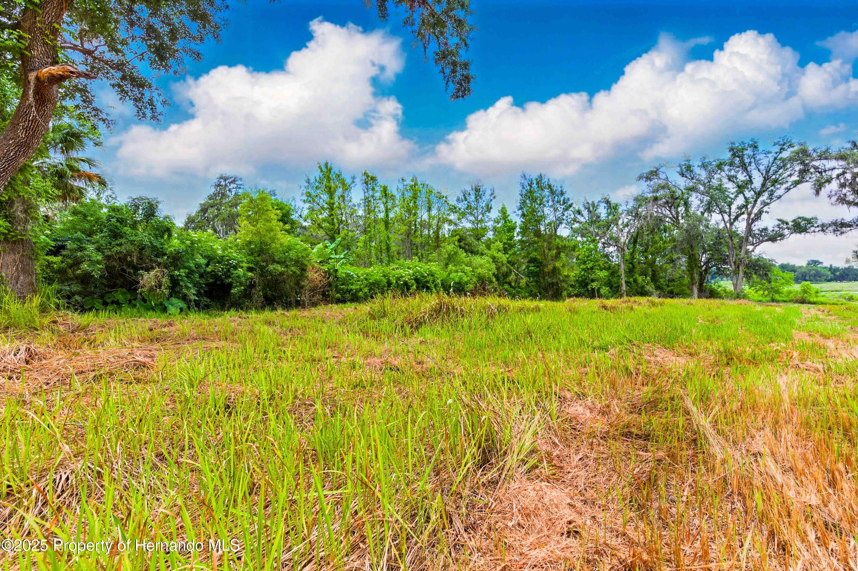 Dan Brown Hill Road, Brooksville, Florida image 6