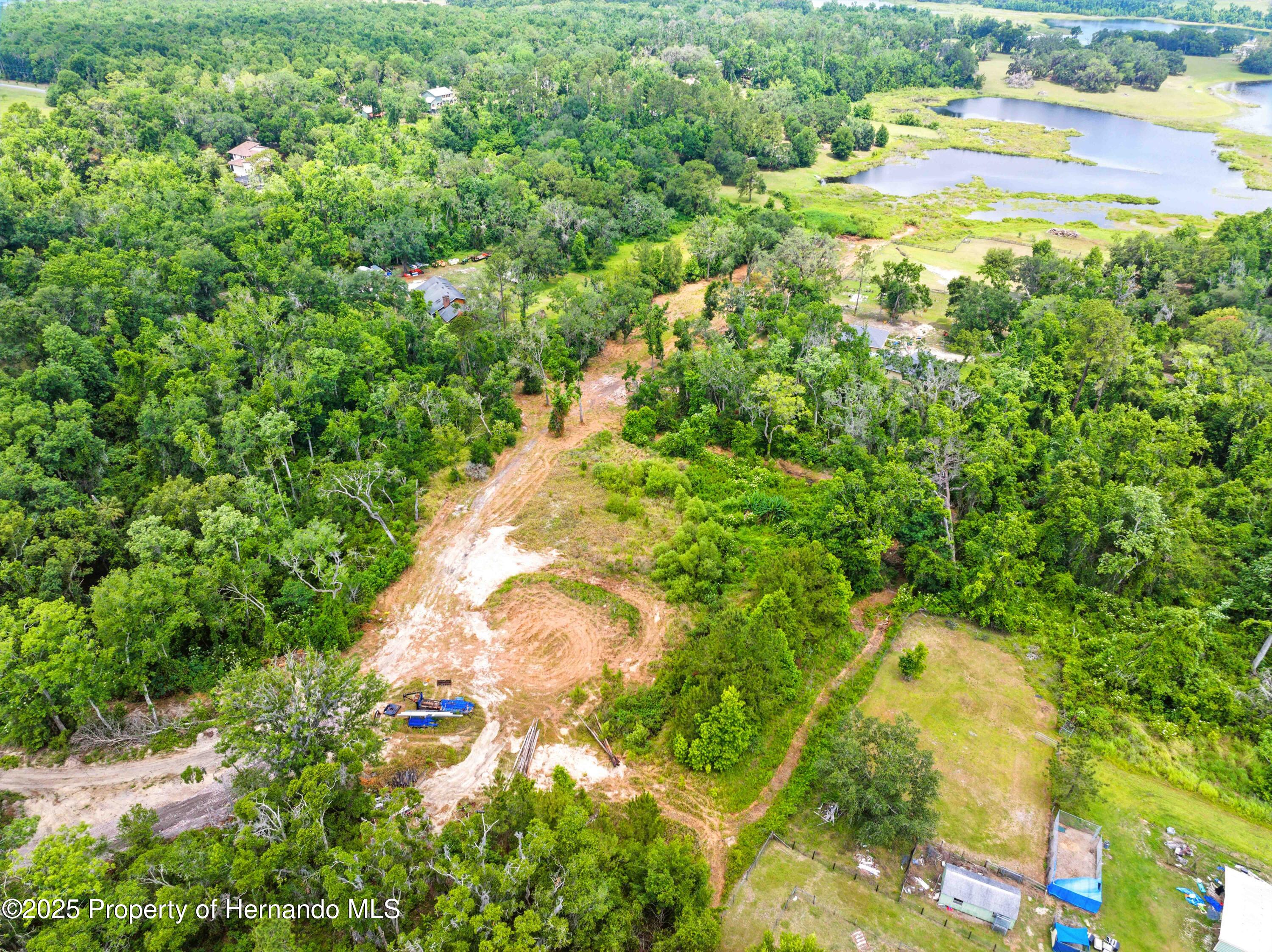 Dan Brown Hill Road, Brooksville, Florida image 14