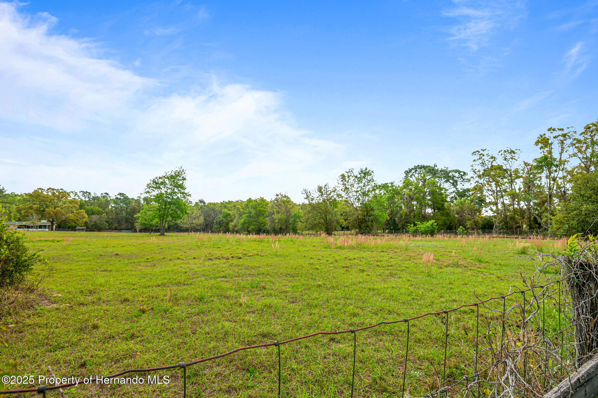 16083 Sam C Road, Spring Hill, Florida image 15
