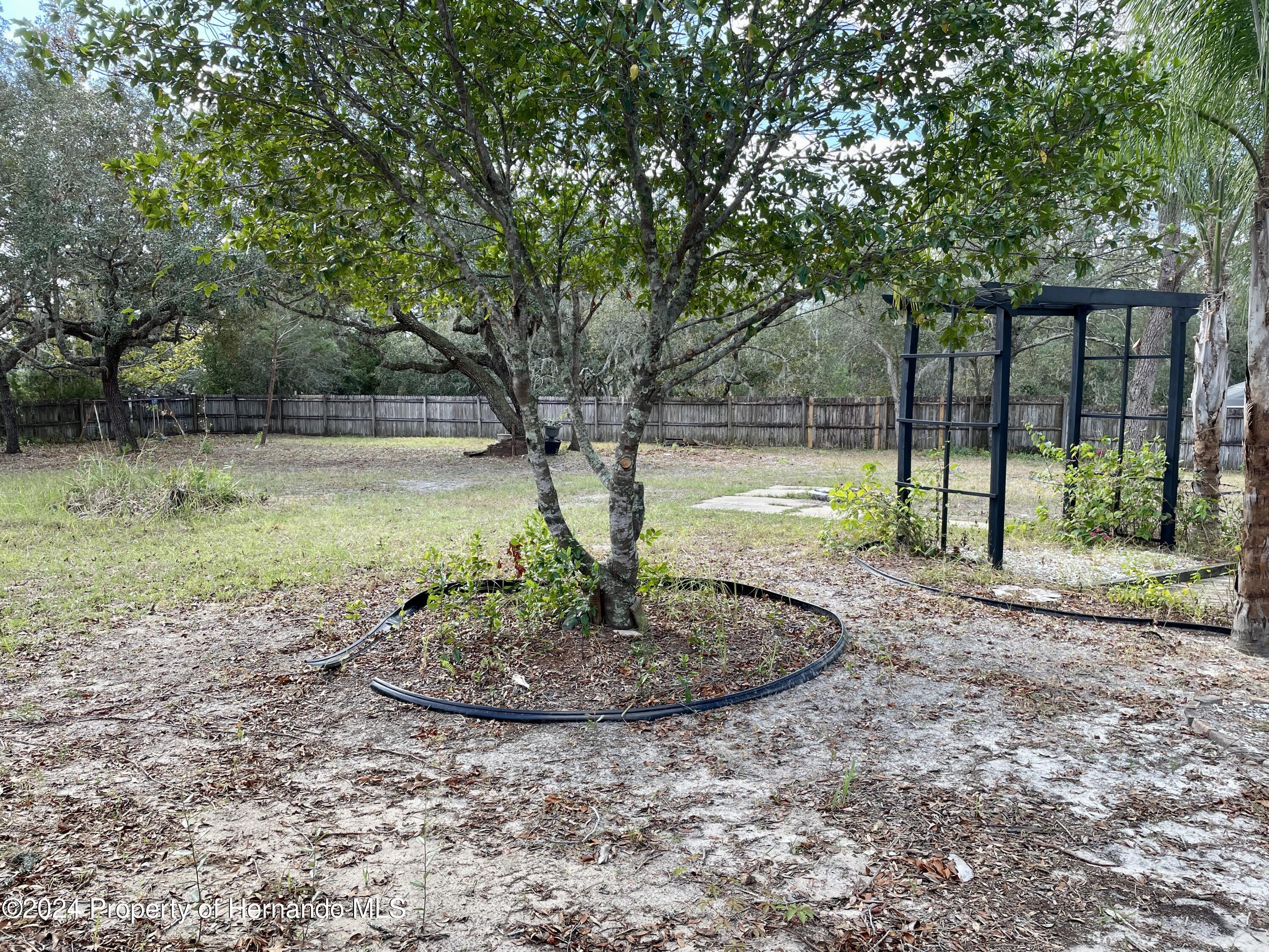 10448 Canary Avenue, Weeki Wachee, Florida image 44