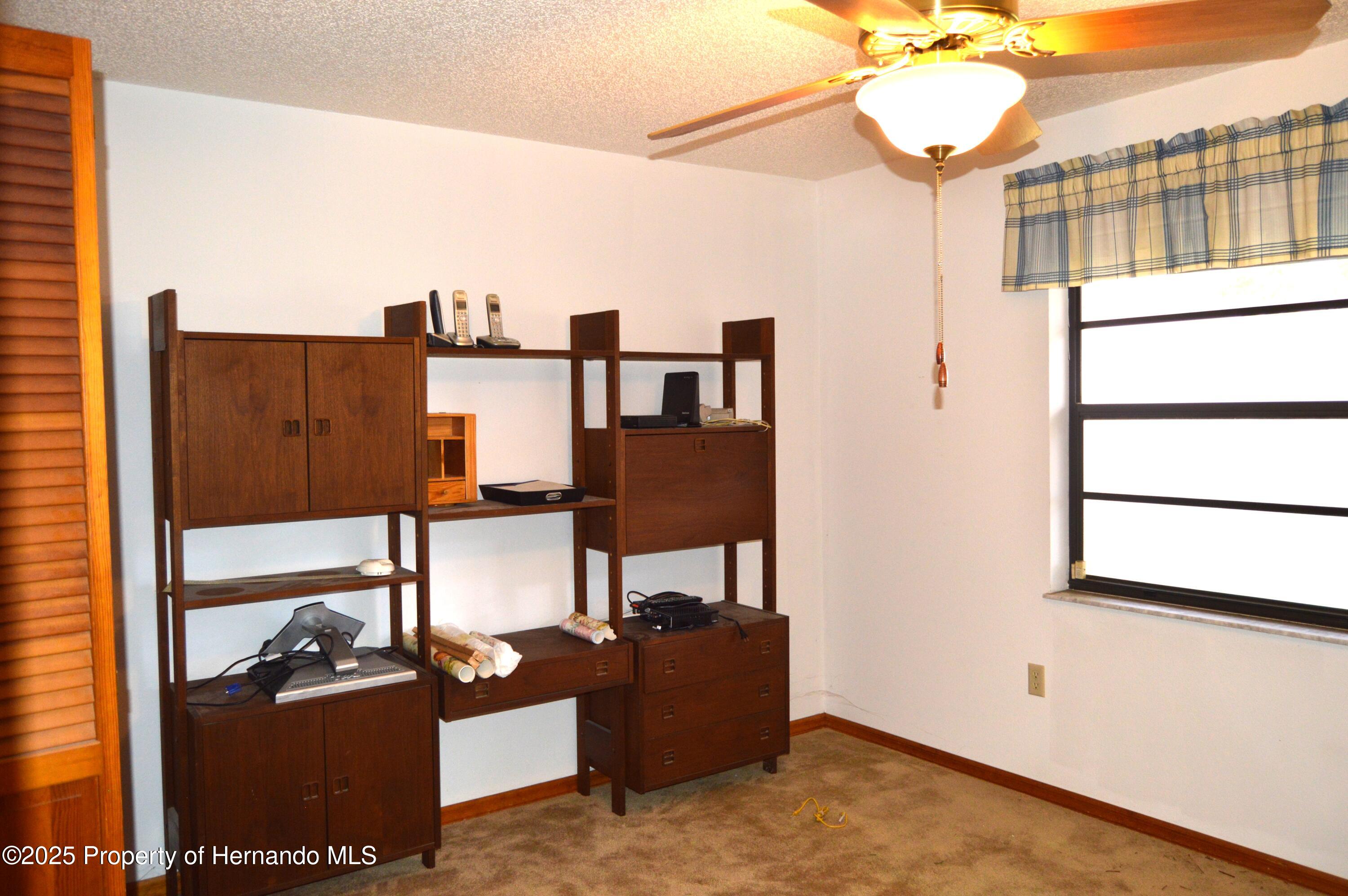 13425 Bonita Avenue, Spring Hill, Florida image 32