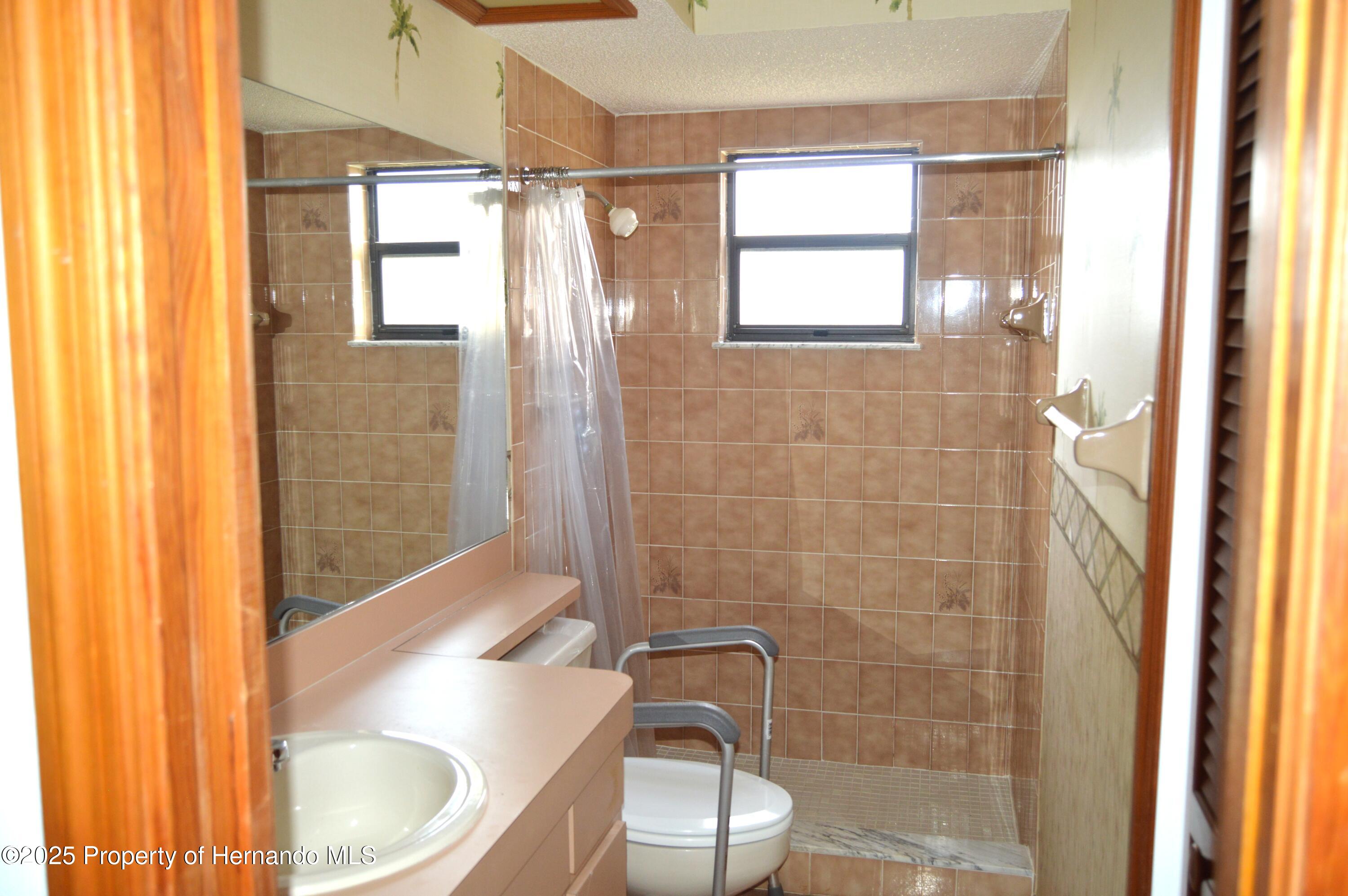 13425 Bonita Avenue, Spring Hill, Florida image 30
