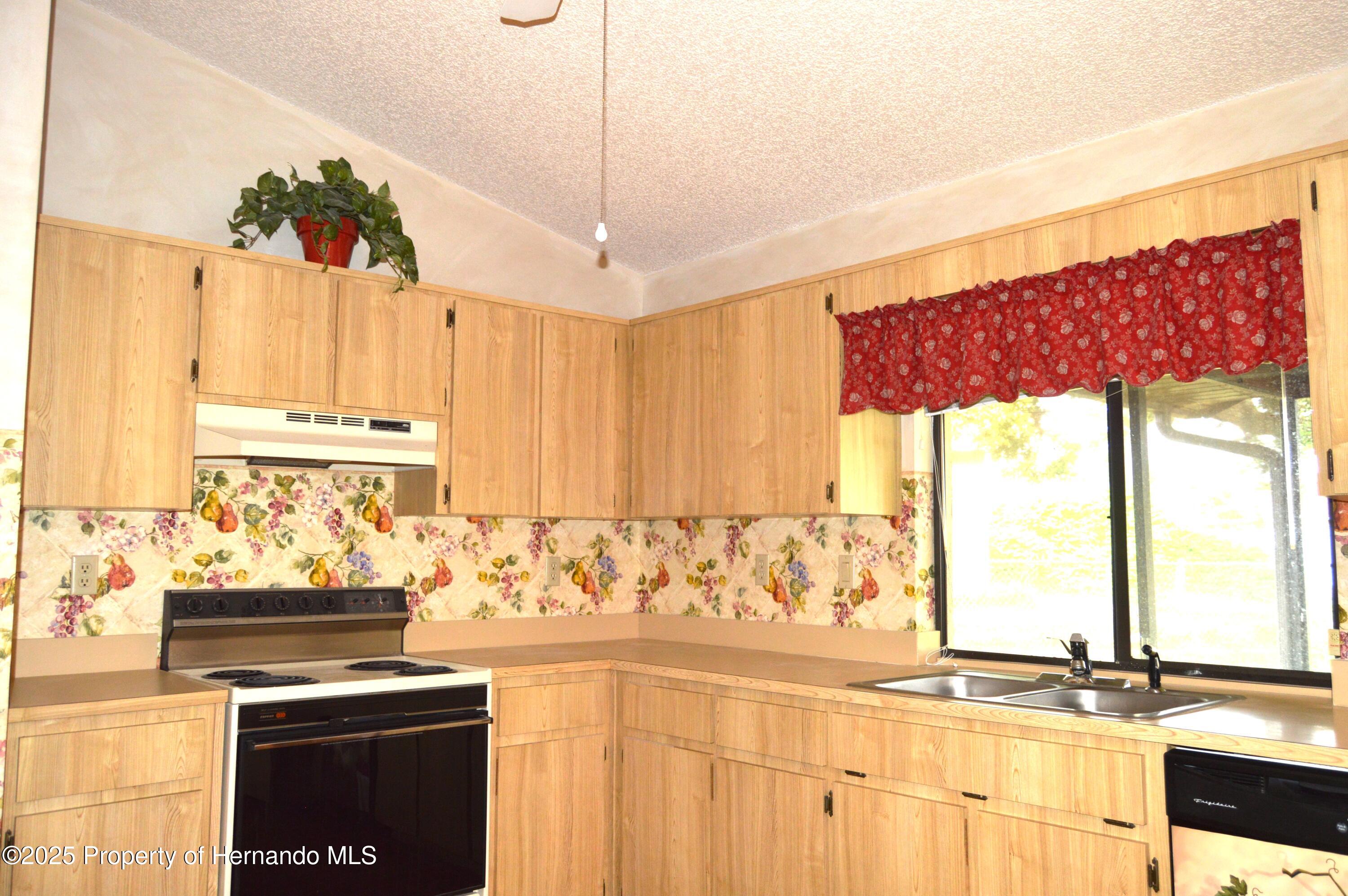 13425 Bonita Avenue, Spring Hill, Florida image 8