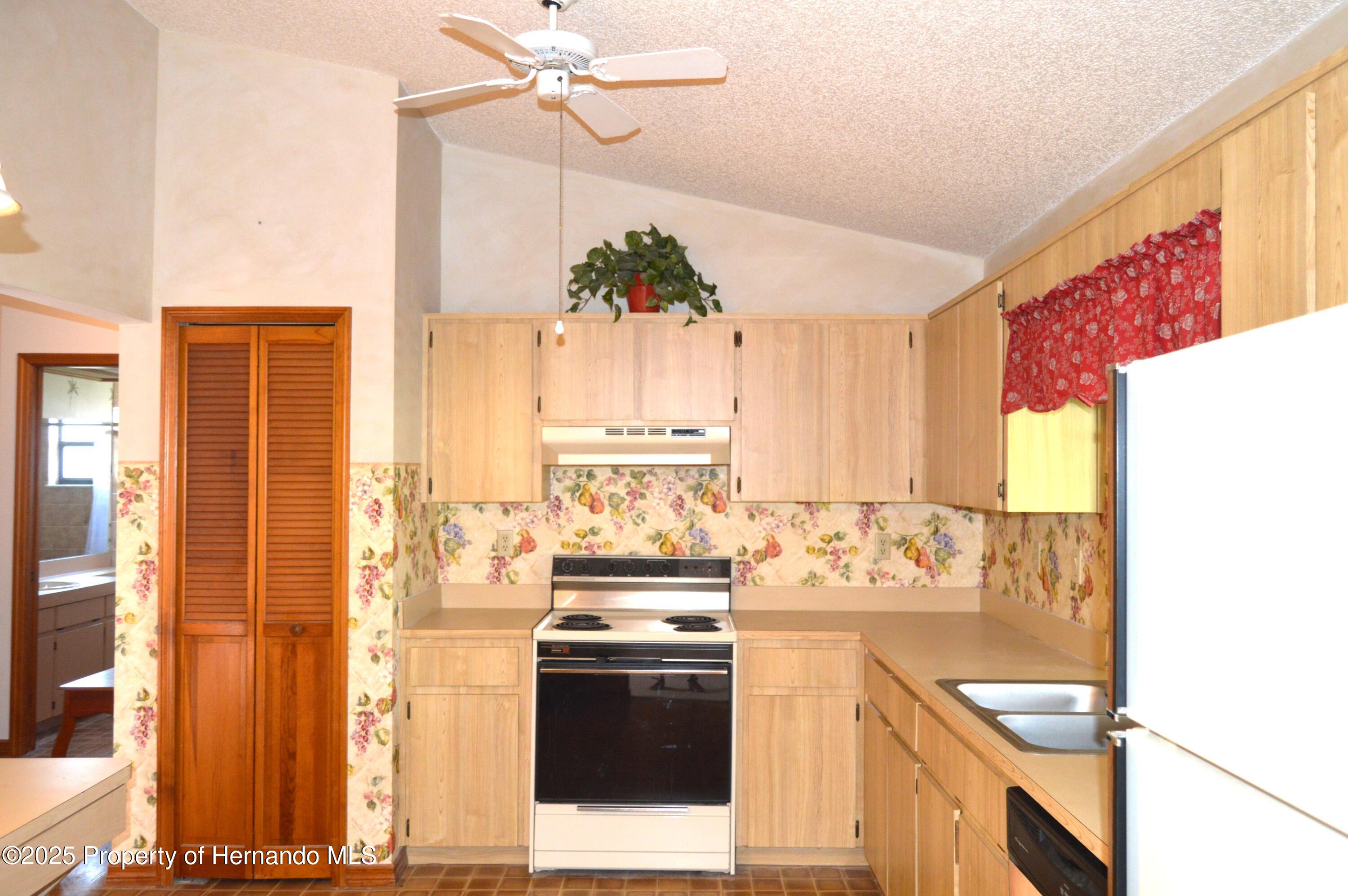 13425 Bonita Avenue, Spring Hill, Florida image 7