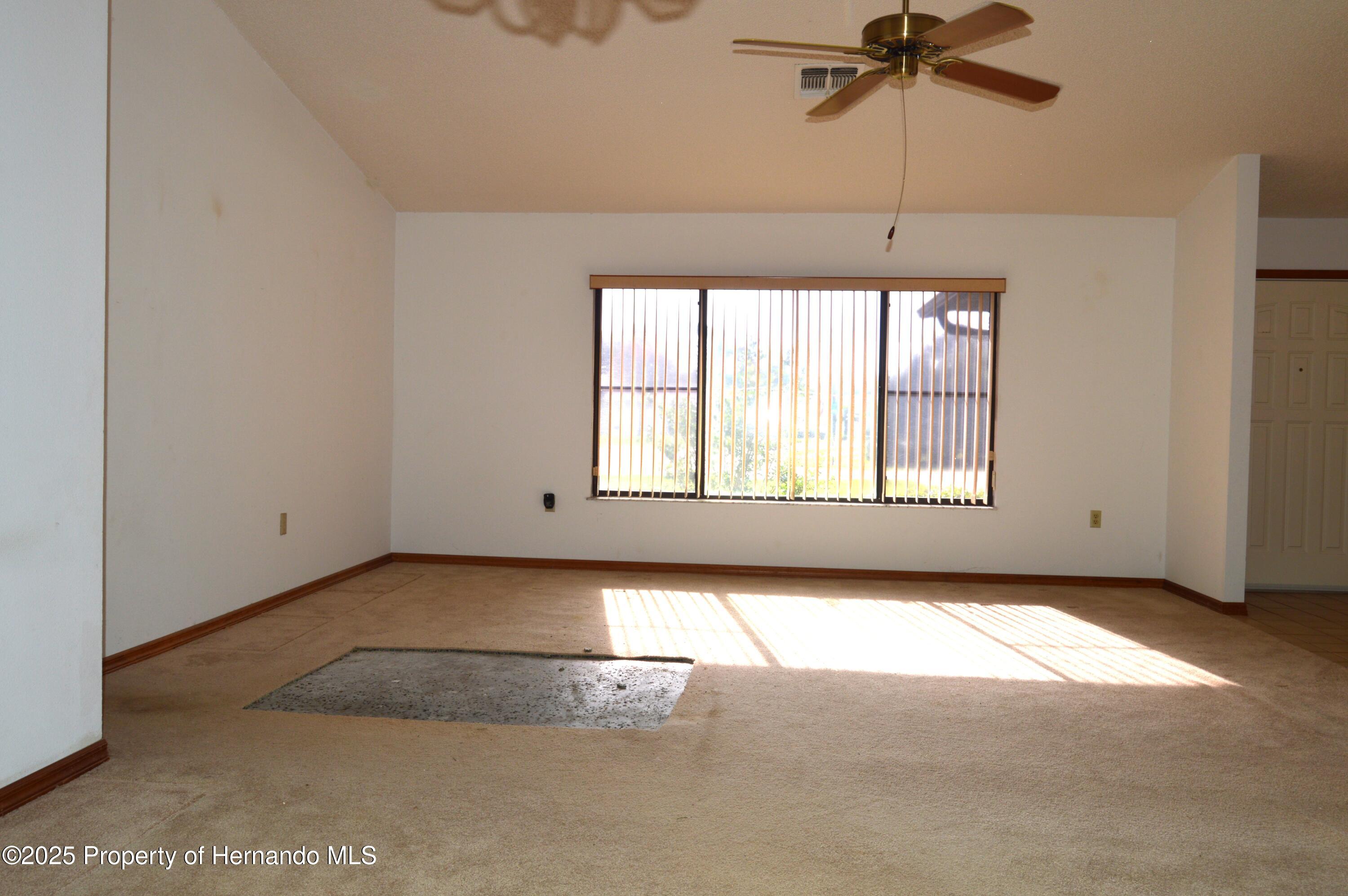 13425 Bonita Avenue, Spring Hill, Florida image 16