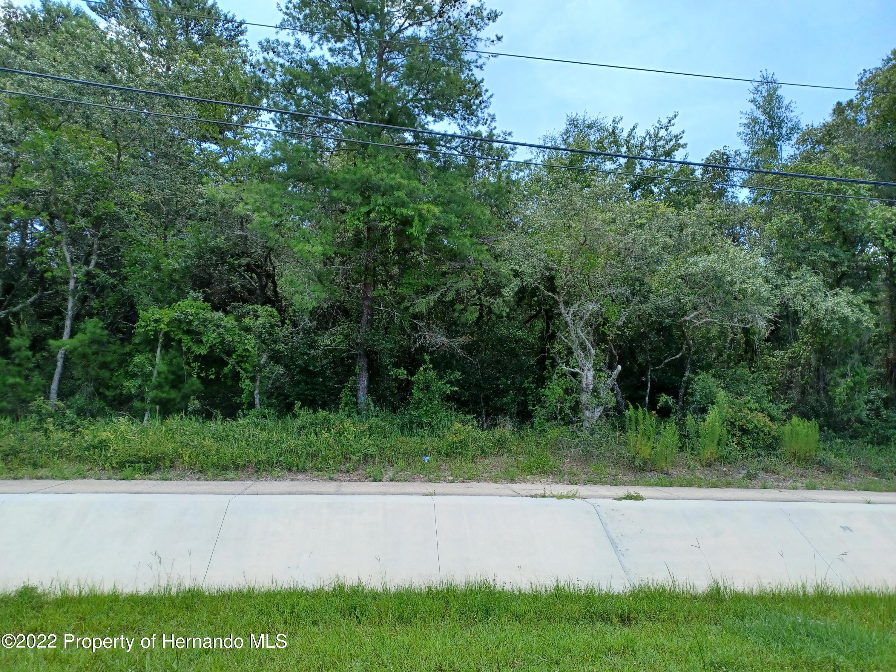 Commercial Way, Hudson, Florida image 3