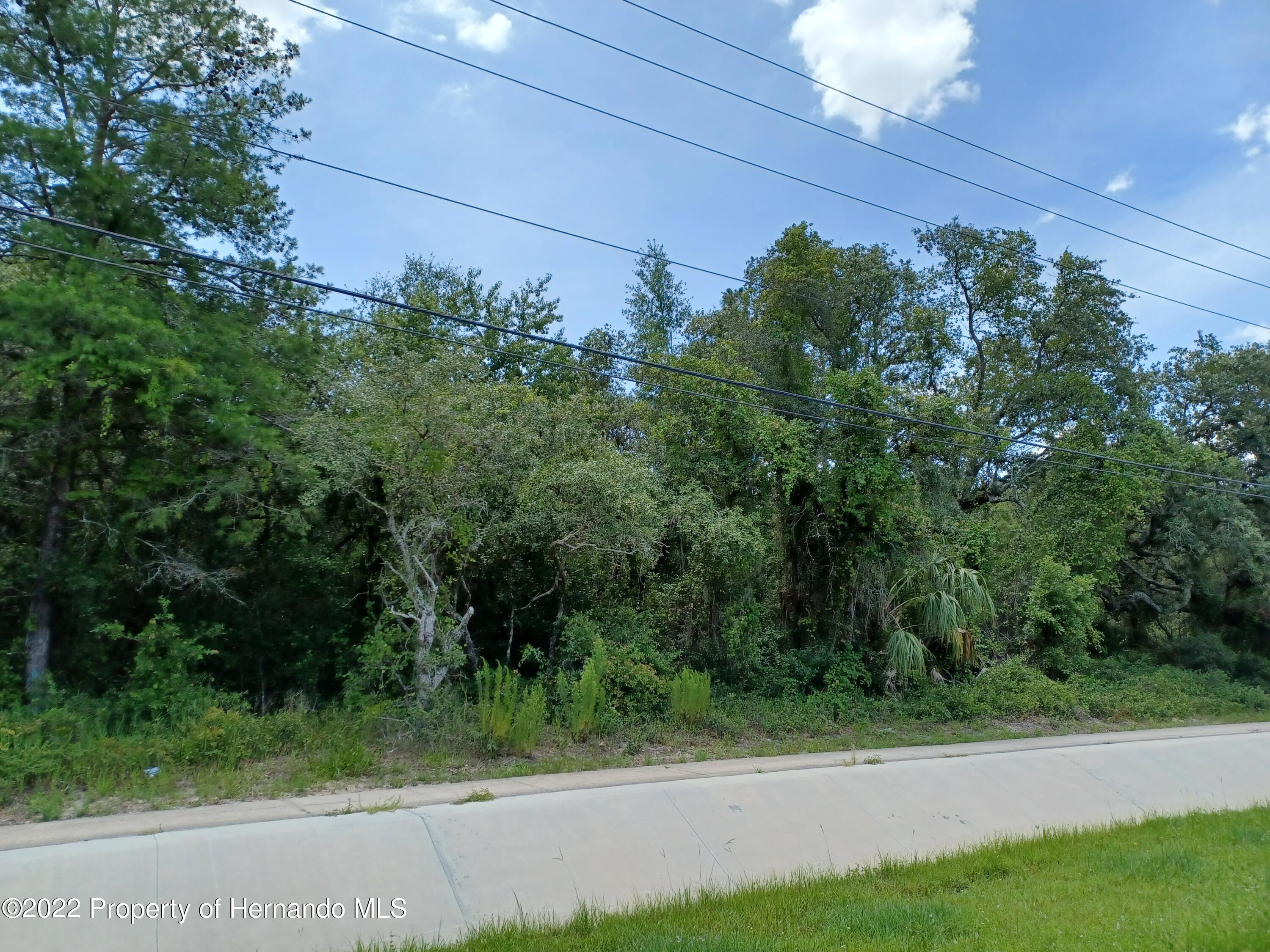 Commercial Way, Hudson, Florida image 1