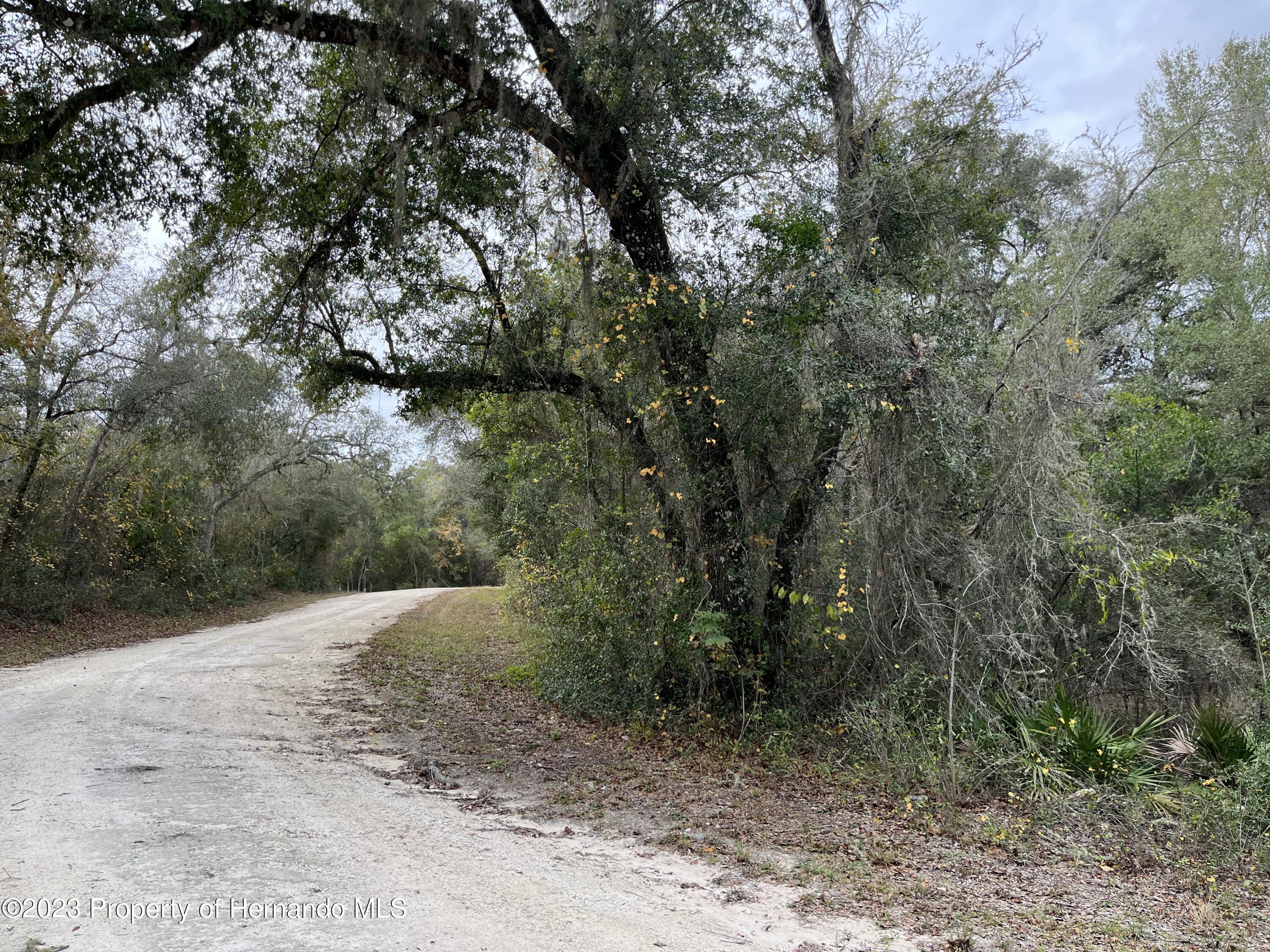 Lot 7 Coalstone Drive, Webster, Florida image 2