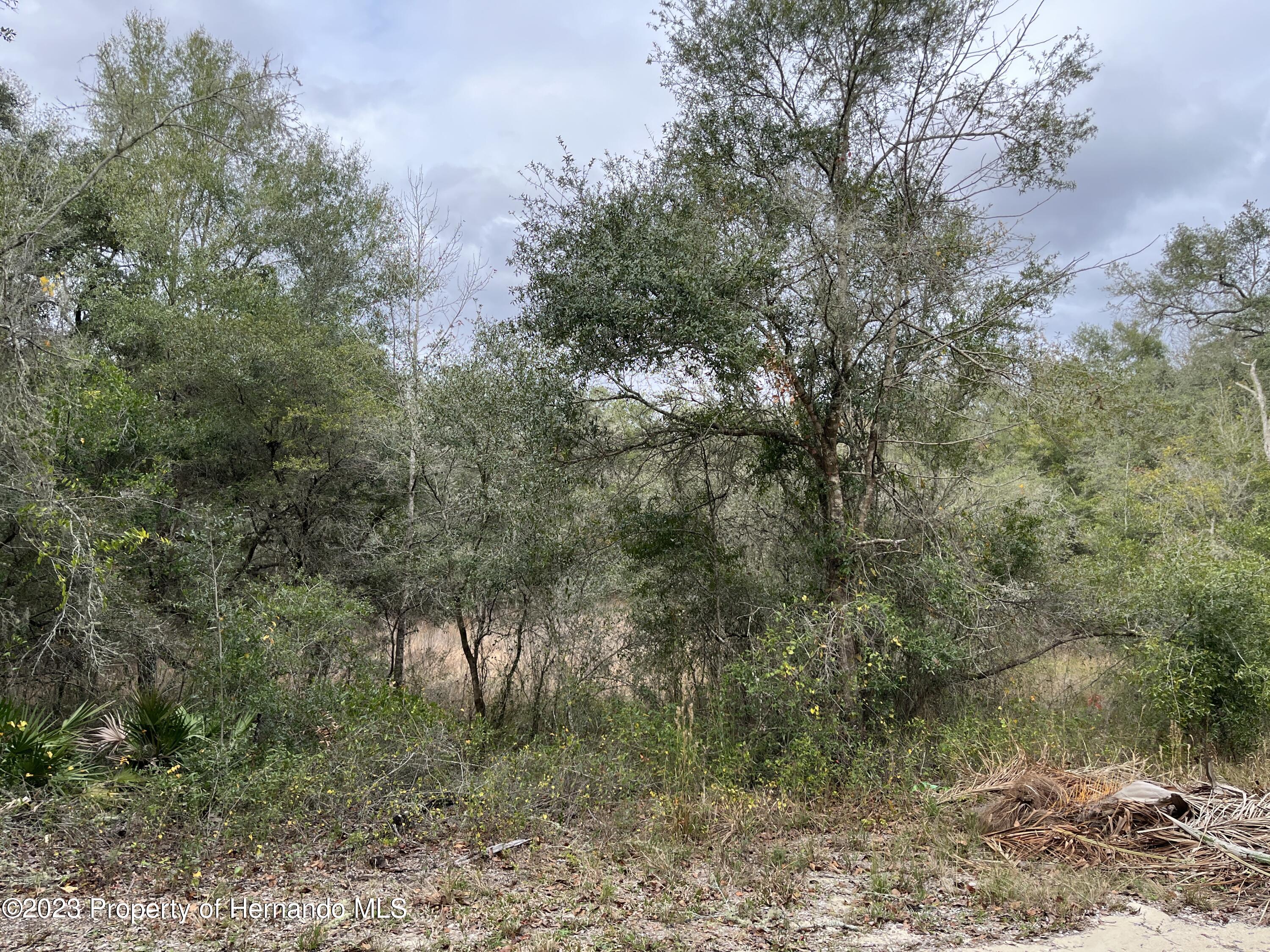 Lot 7 Coalstone Drive, Webster, Florida image 3