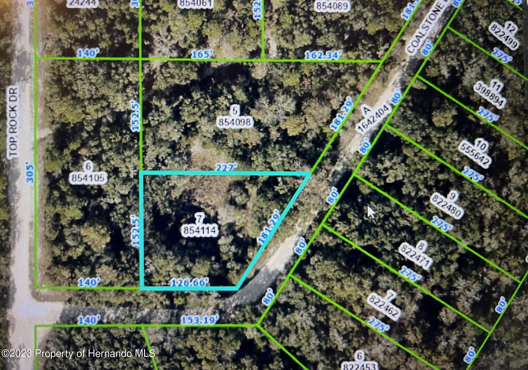 Lot 7 Coalstone Drive, Webster, Florida image 1