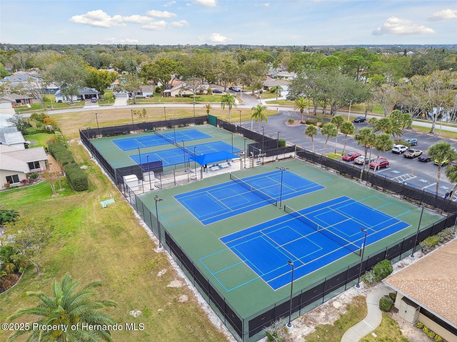 1700 Highland Club Court, Palm Harbor, Florida image 20