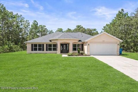 Homes For Sale - 15491 Scaup Duck Avenue<br/> Weeki Wachee, FL 34614