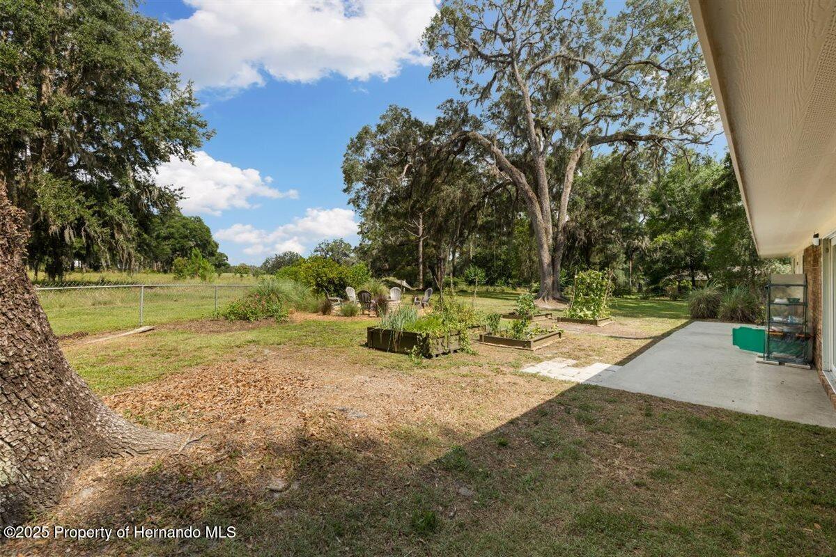 9542 Wallien Drive, Brooksville, Florida image 45