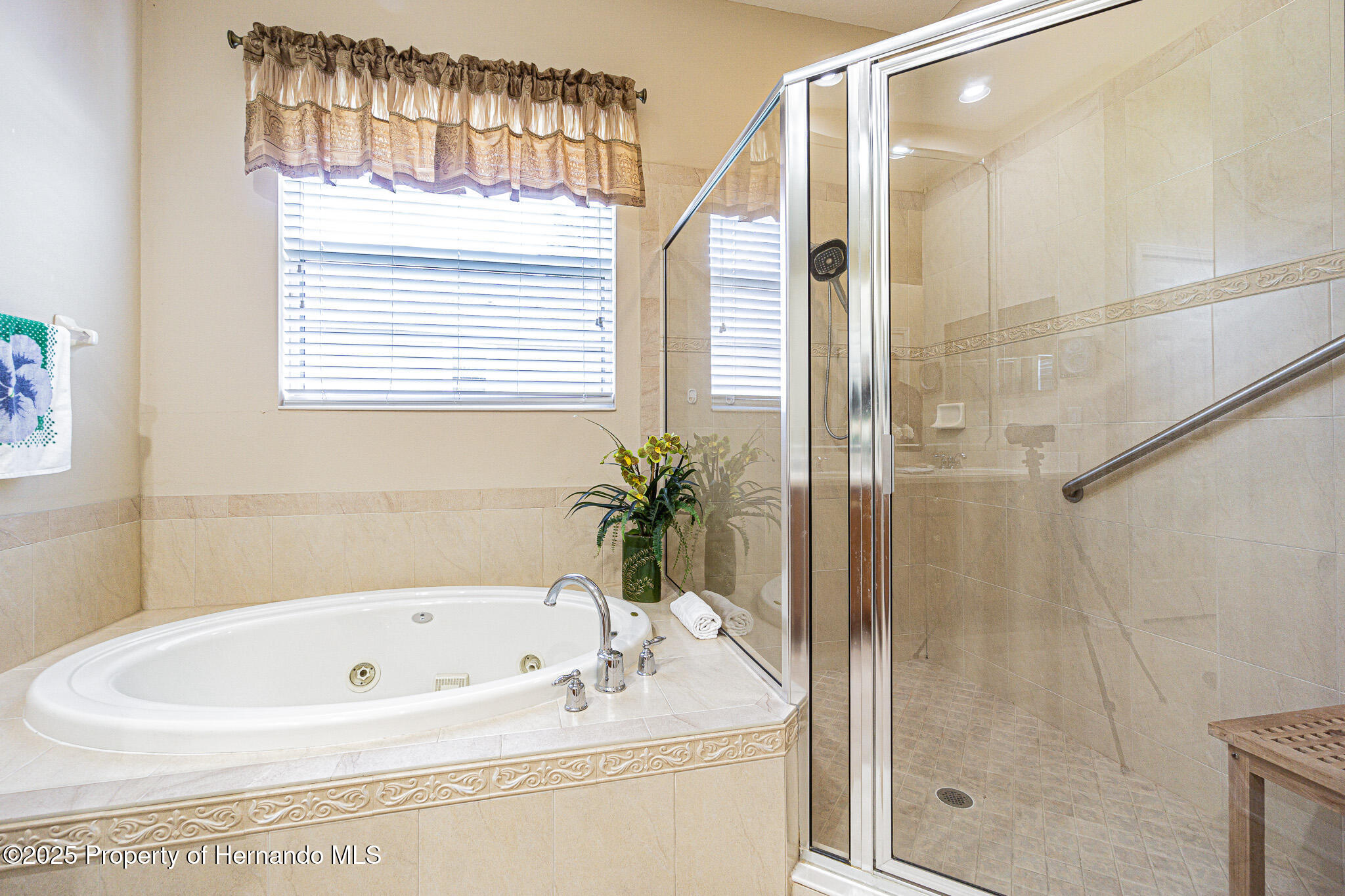 19140 Sunset Bay Drive, LAND O LAKES, Florida image 21