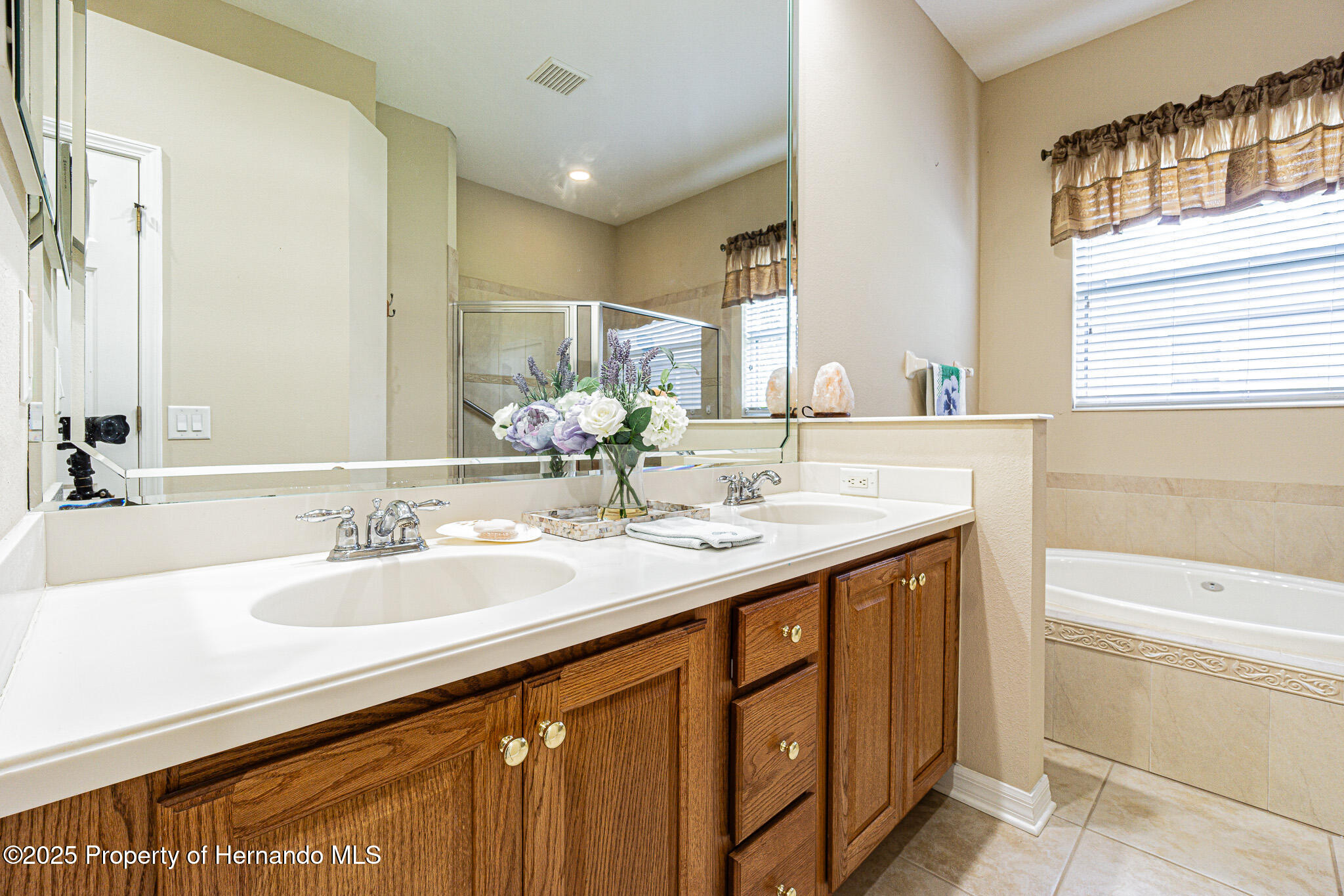19140 Sunset Bay Drive, LAND O LAKES, Florida image 20