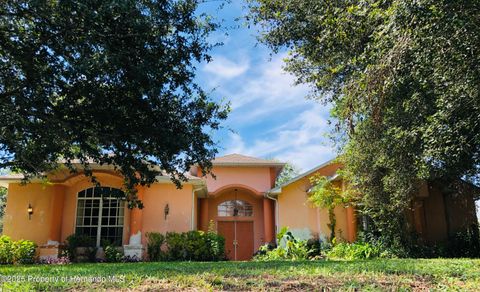 Homes For Sale - 3155 Aldoro Avenue<br/> Spring Hill, FL 34609