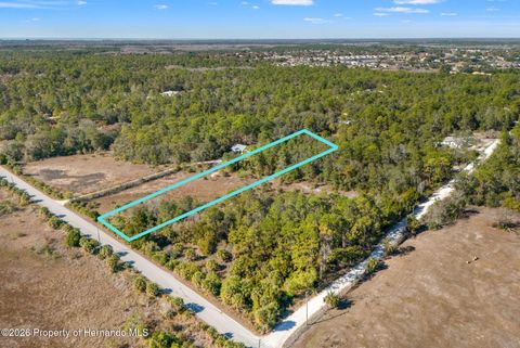 Vacant Land For Sale - Long Lake Avenue<br/> Weeki Wachee, FL 34613