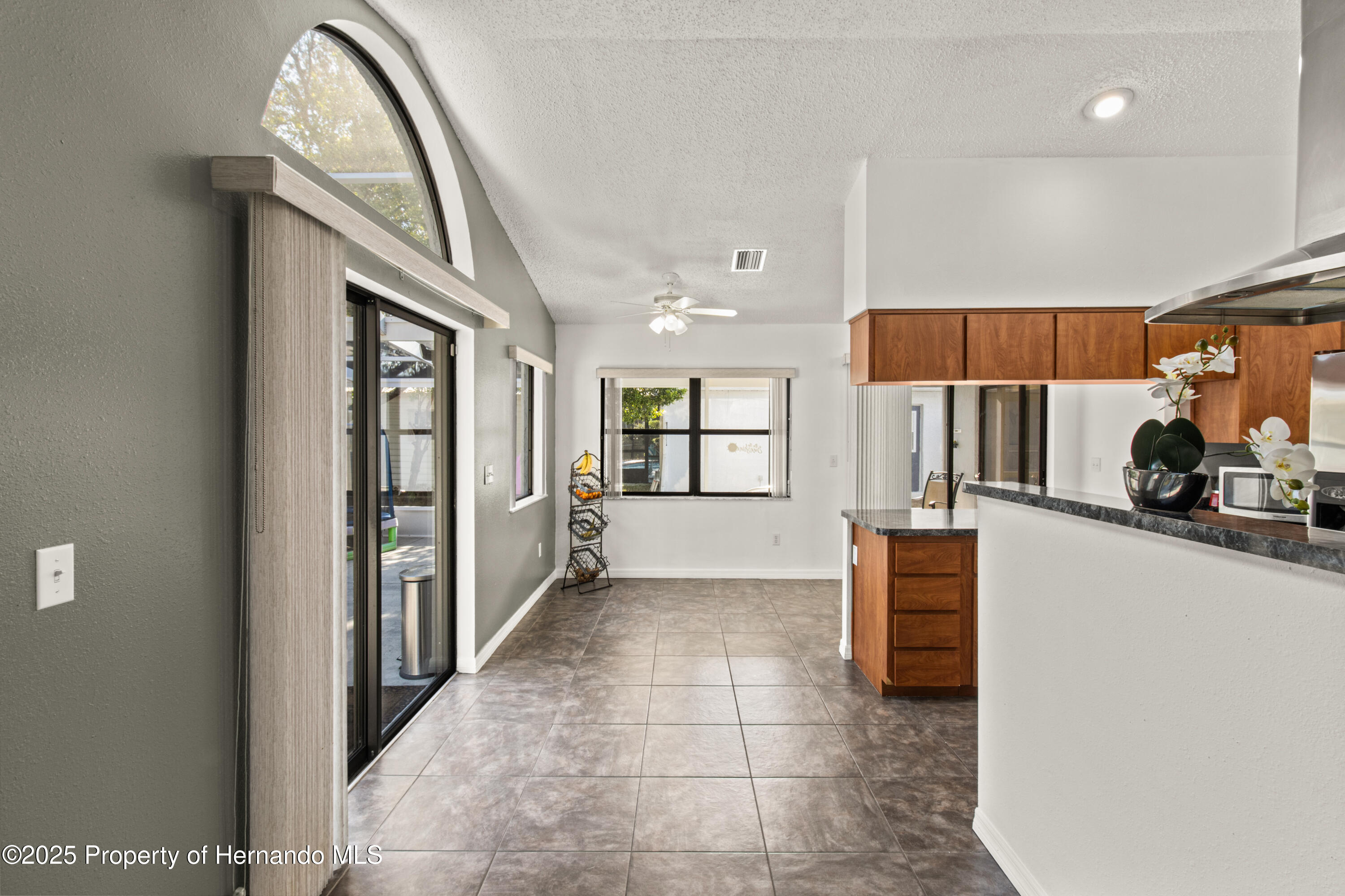 4405 Plumosa Street, Spring Hill, Florida image 17