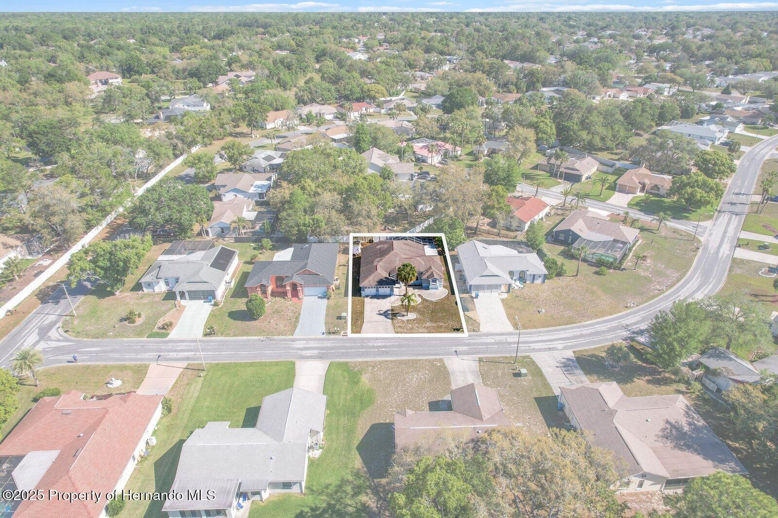 4405 Plumosa Street, Spring Hill, Florida image 3