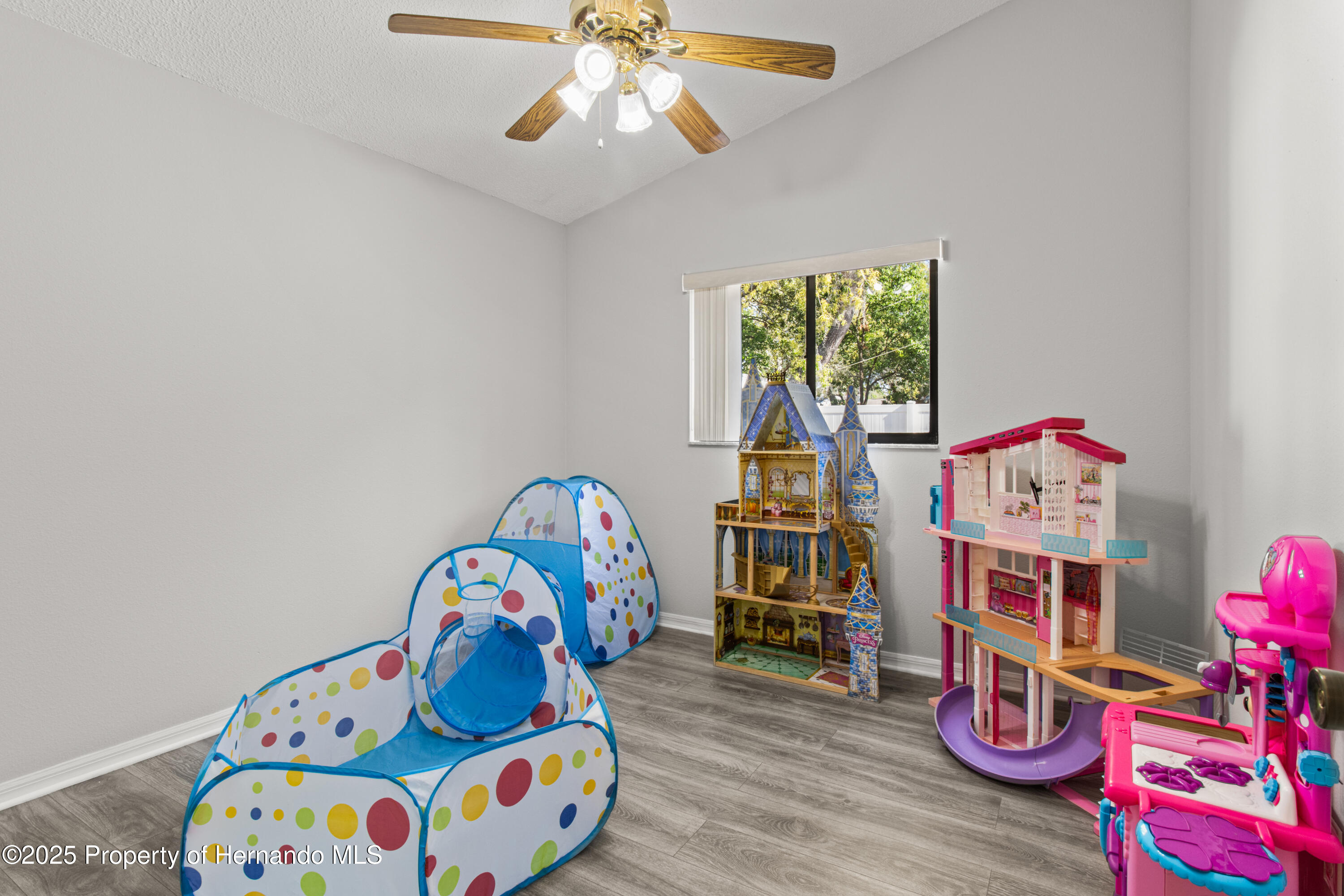 4405 Plumosa Street, Spring Hill, Florida image 22