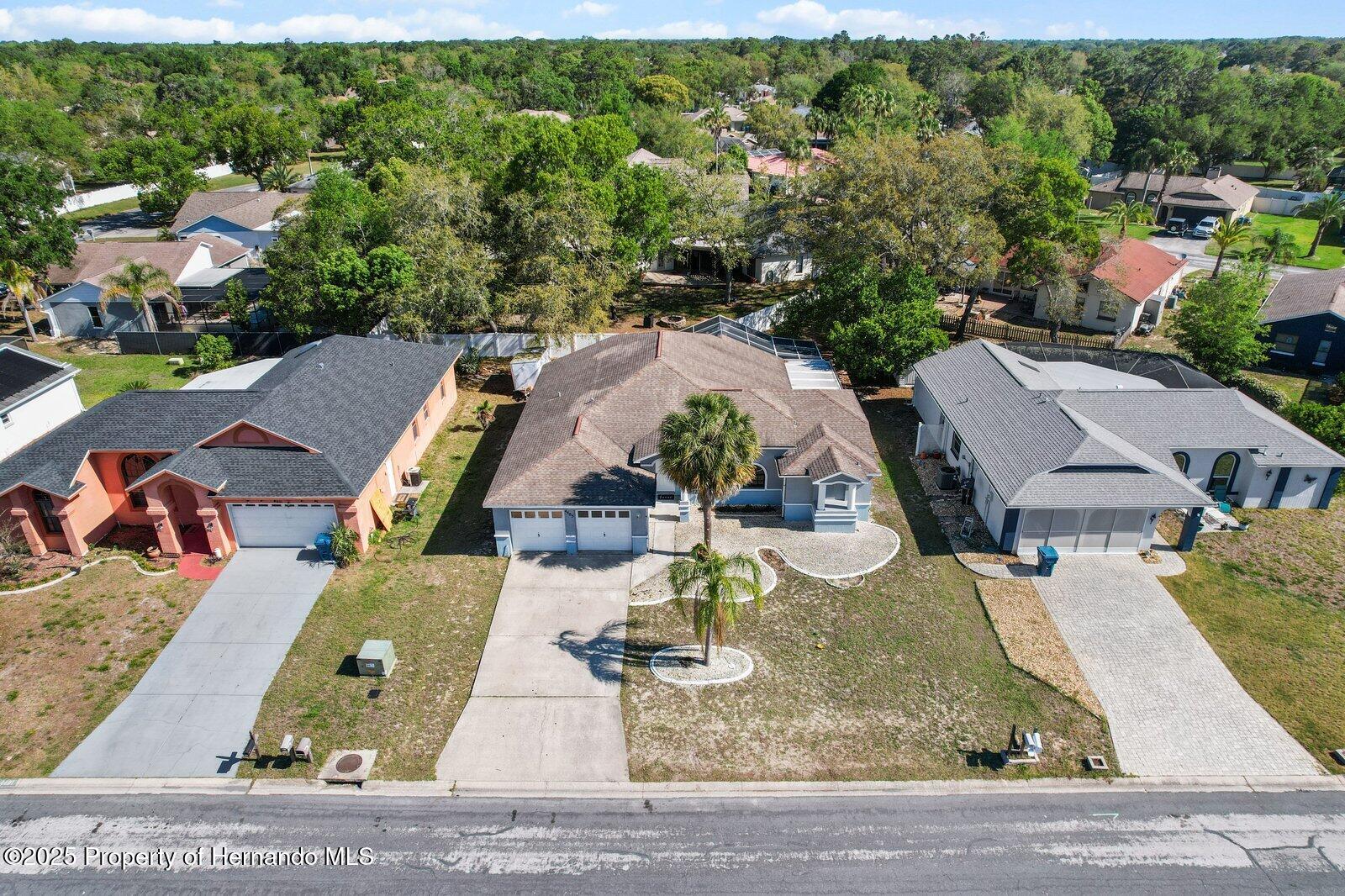 4405 Plumosa Street, Spring Hill, Florida image 33