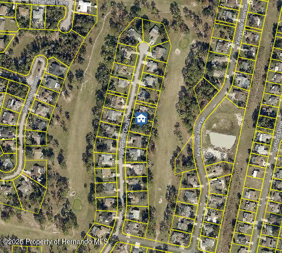 5338 Florentine Court, Spring Hill, Florida image 2