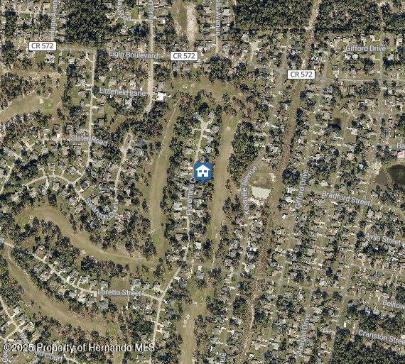5338 Florentine Court, Spring Hill, Florida image 3