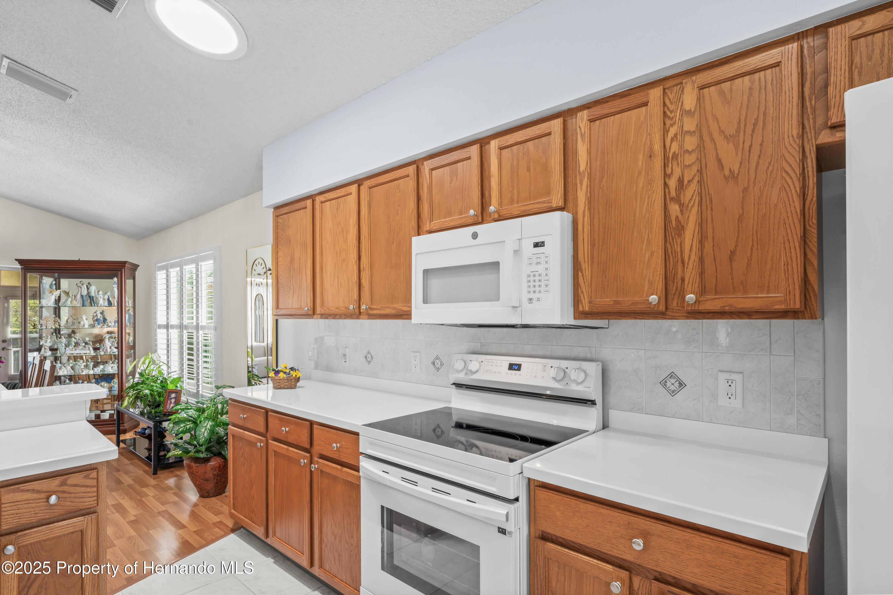 11250 Hollander Avenue, Hudson, Florida image 17