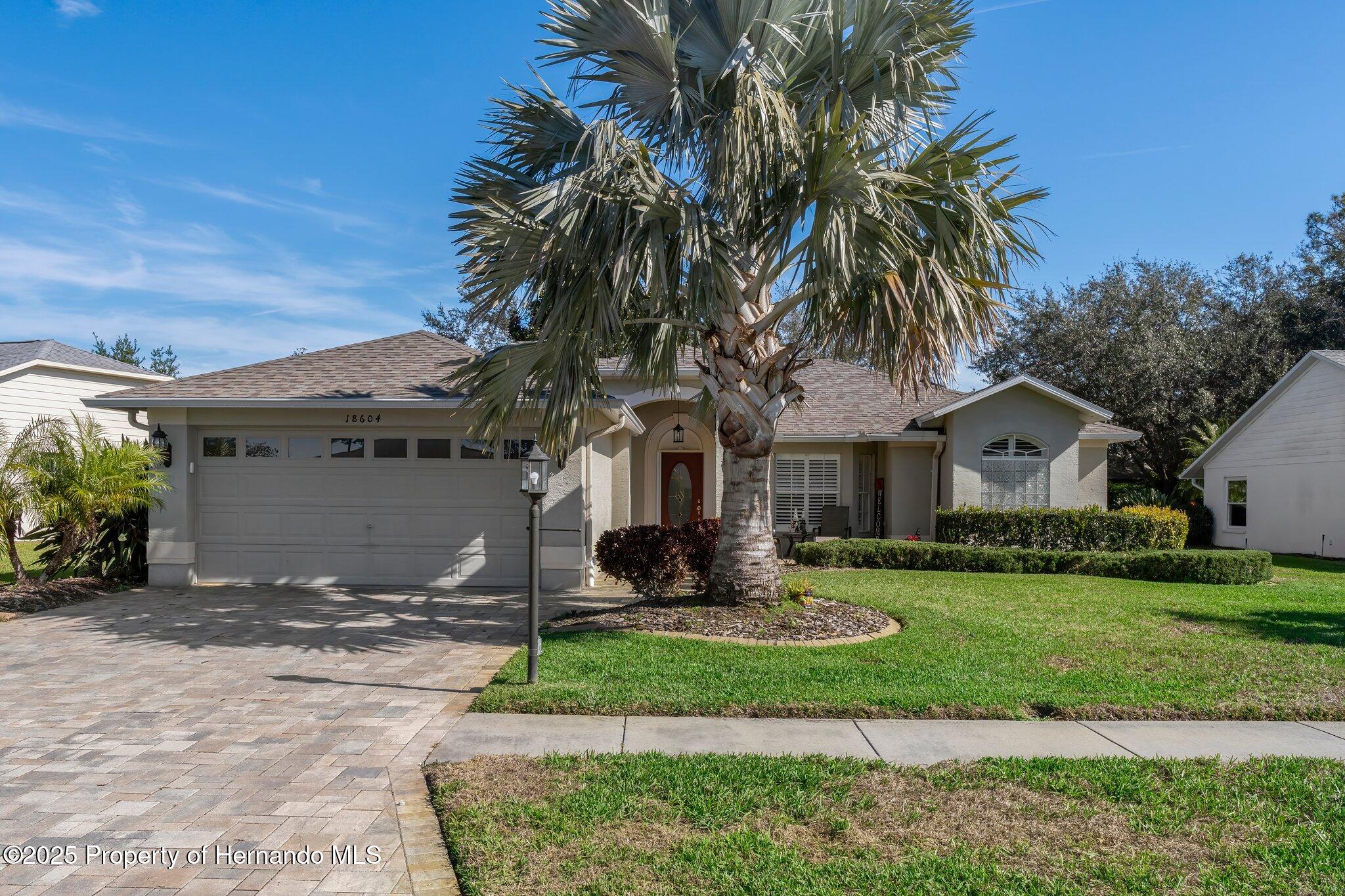 18604 Myrtle Wood Drive, Hudson, Florida image 5