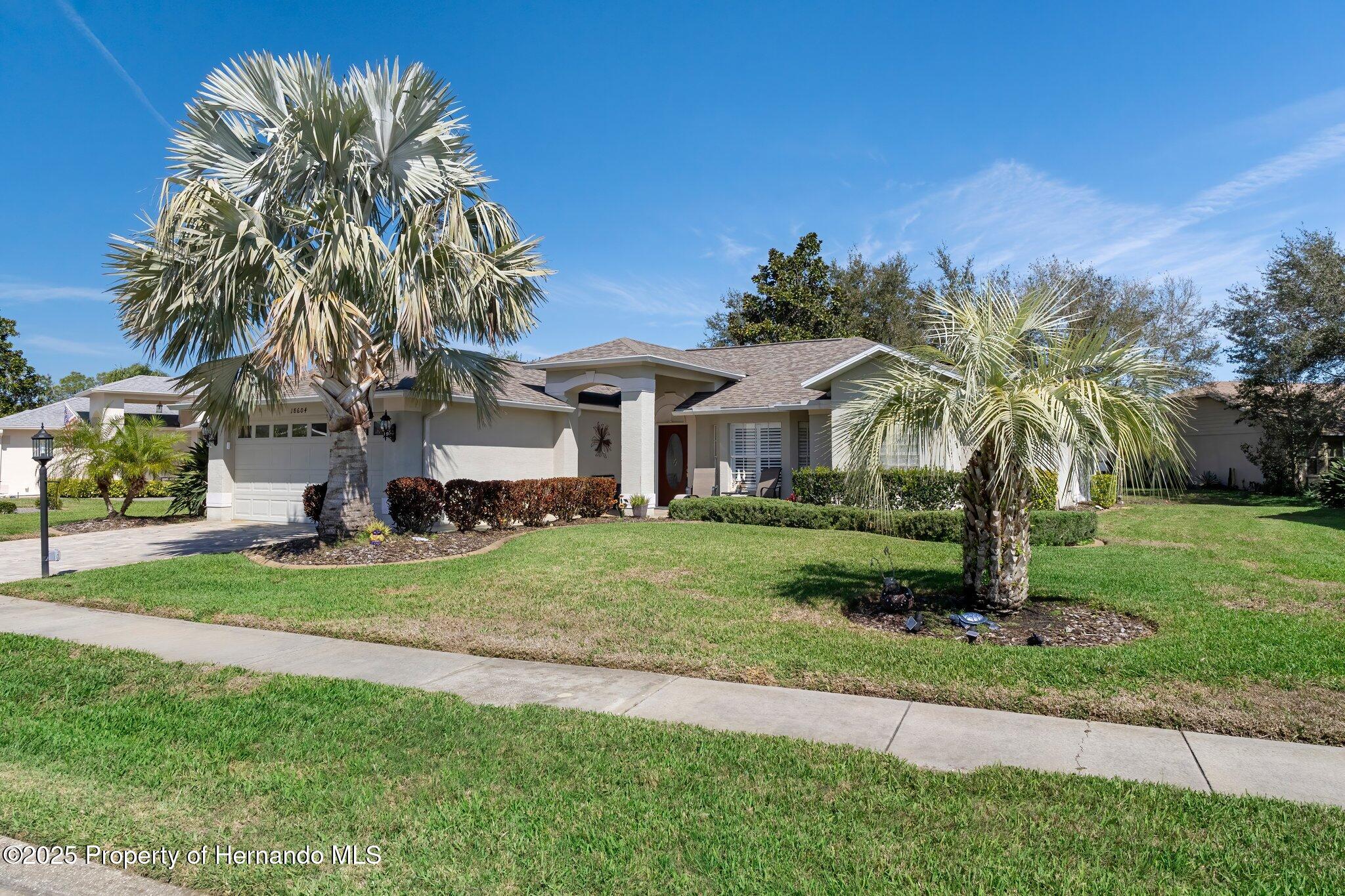 18604 Myrtle Wood Drive, Hudson, Florida image 2