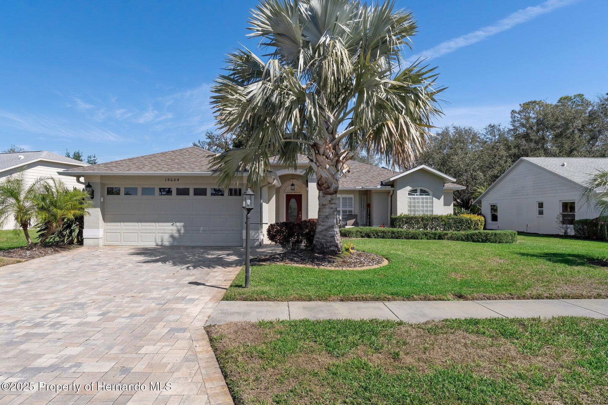 18604 Myrtle Wood Drive, Hudson, Florida image 4