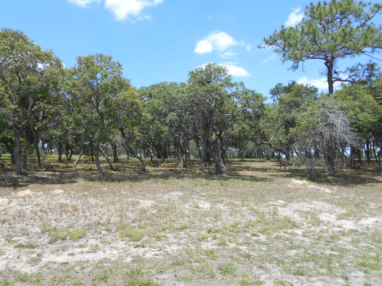 7496 Morelli Avenue, Brooksville, Florida image 32