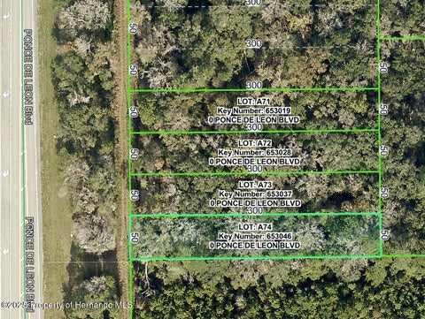 Vacant Land For Sale - Ponce De Leon<br/> Brooksville, FL 34601
