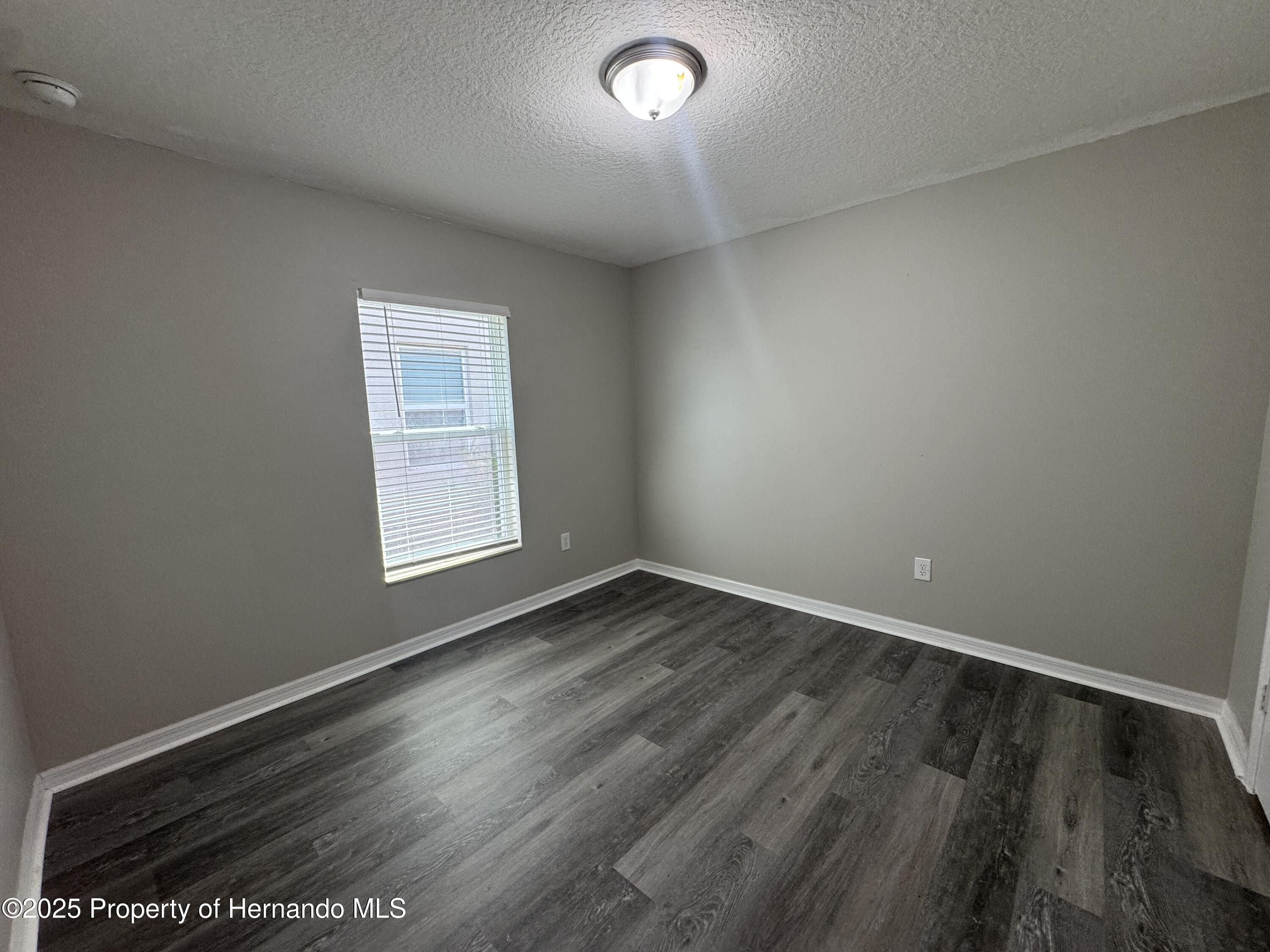 30182 Fedora Circle, Brooksville, Florida image 5