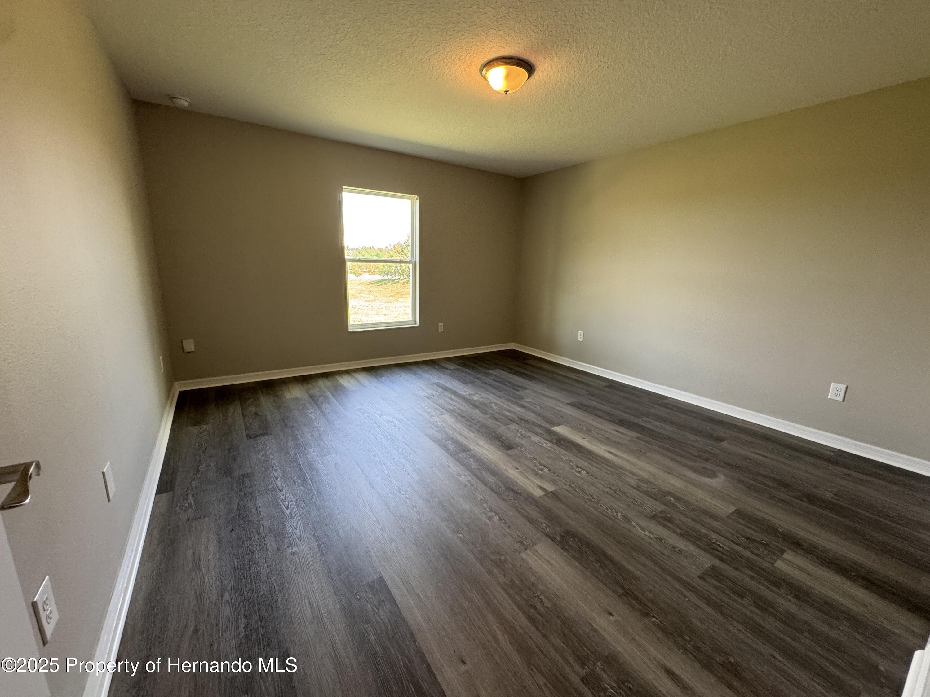 30182 Fedora Circle, Brooksville, Florida image 12