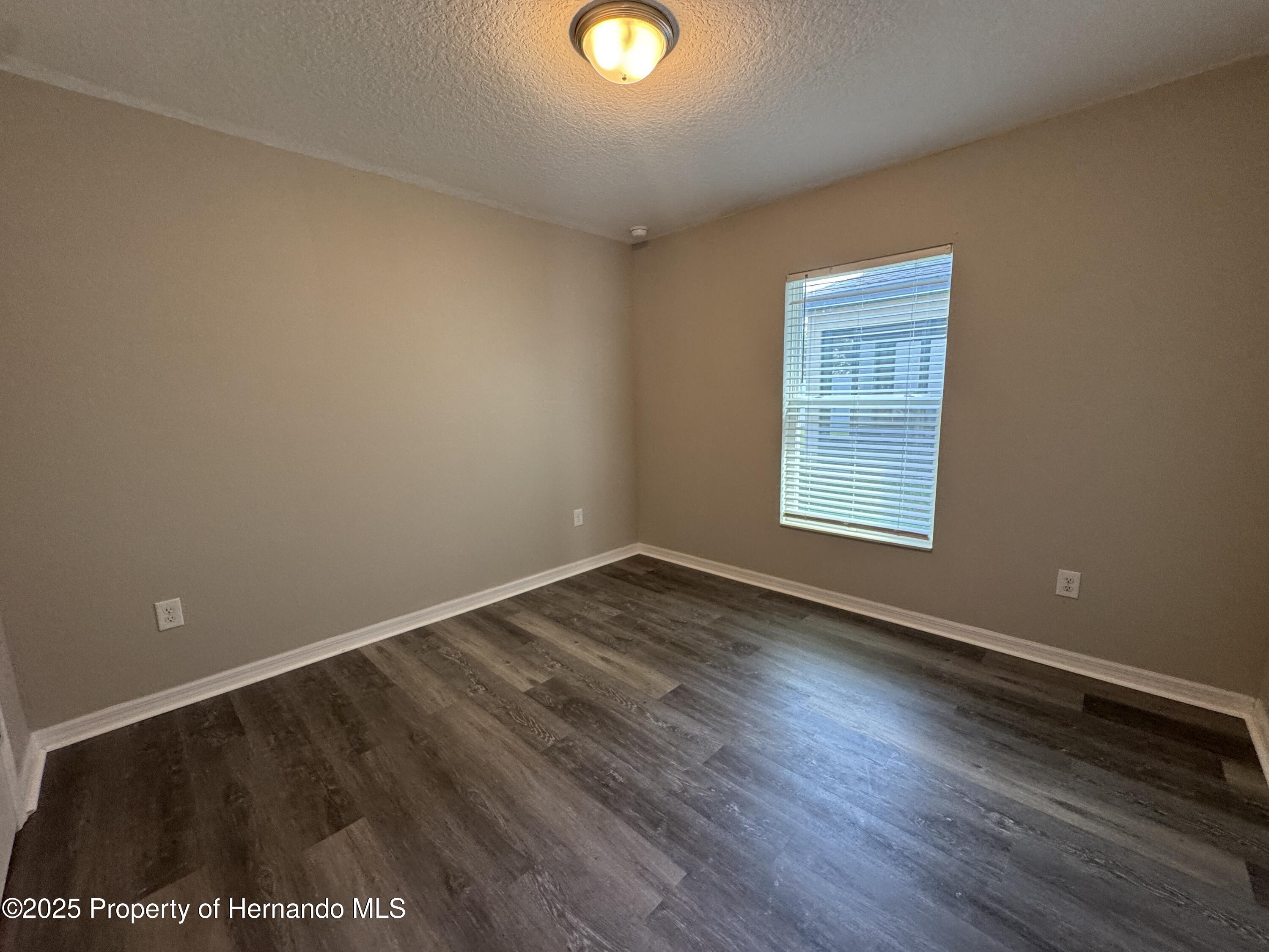 30182 Fedora Circle, Brooksville, Florida image 7