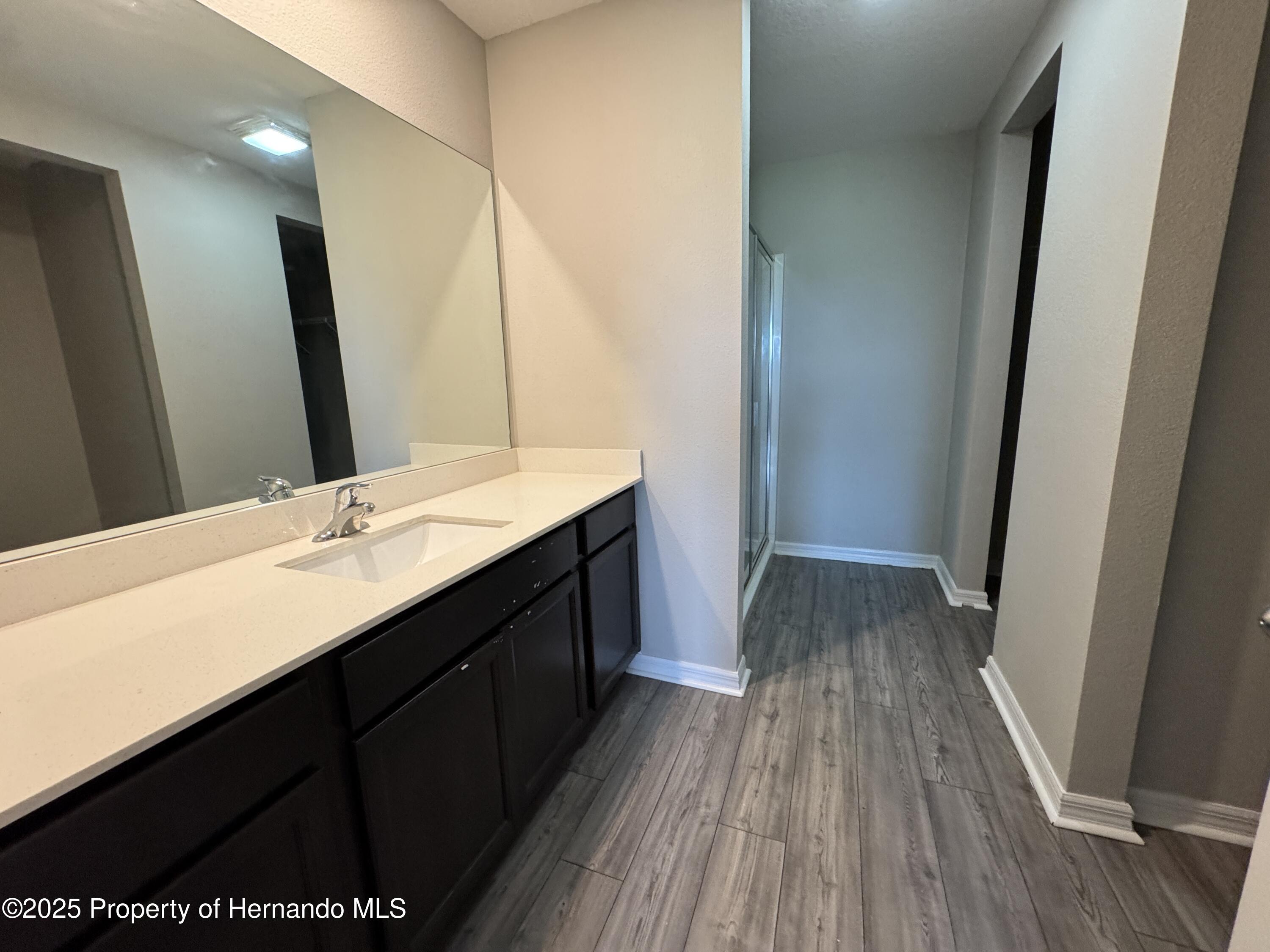 30182 Fedora Circle, Brooksville, Florida image 13