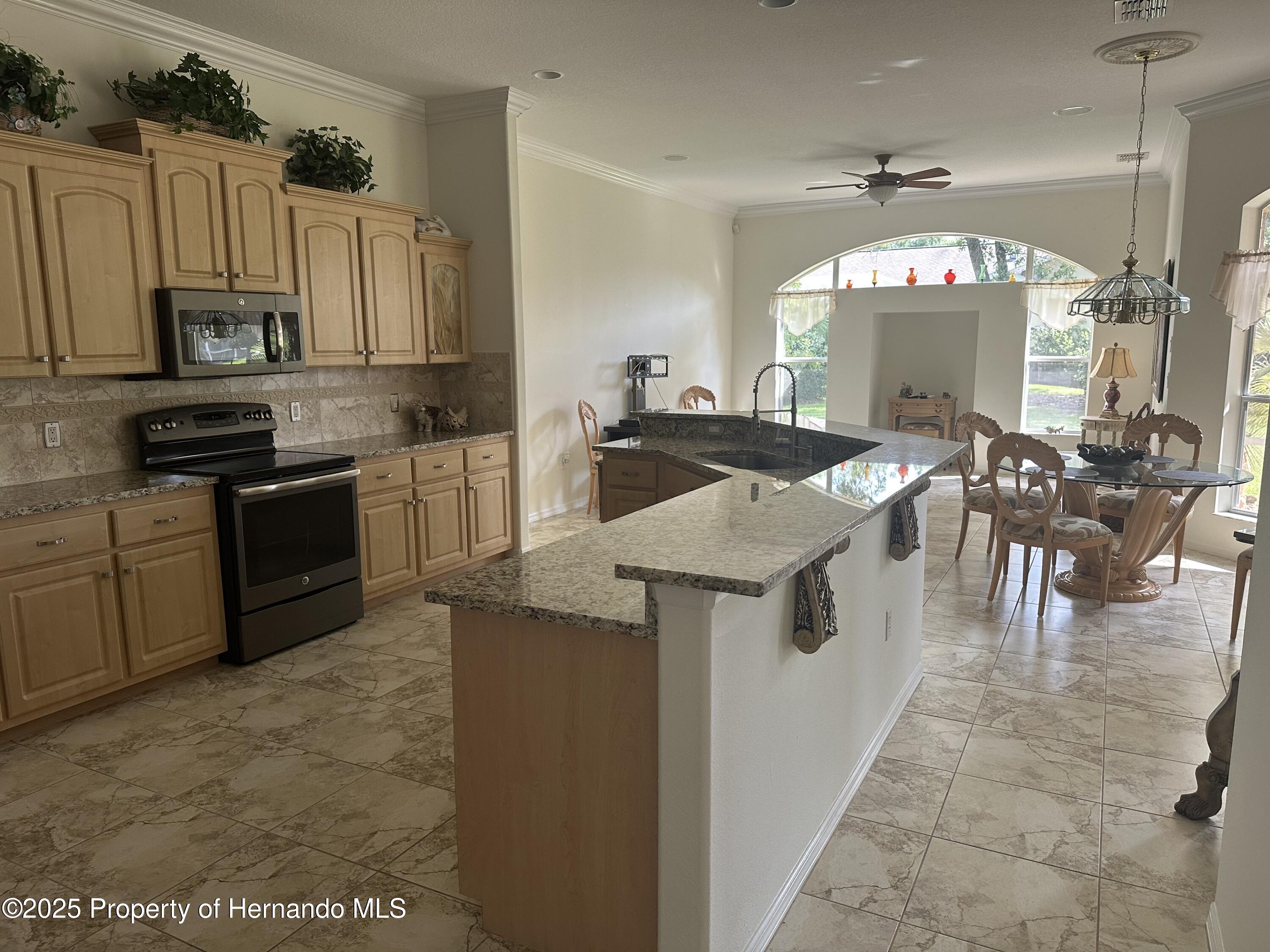 13417 Whitehaven Court, Spring Hill, Florida image 3