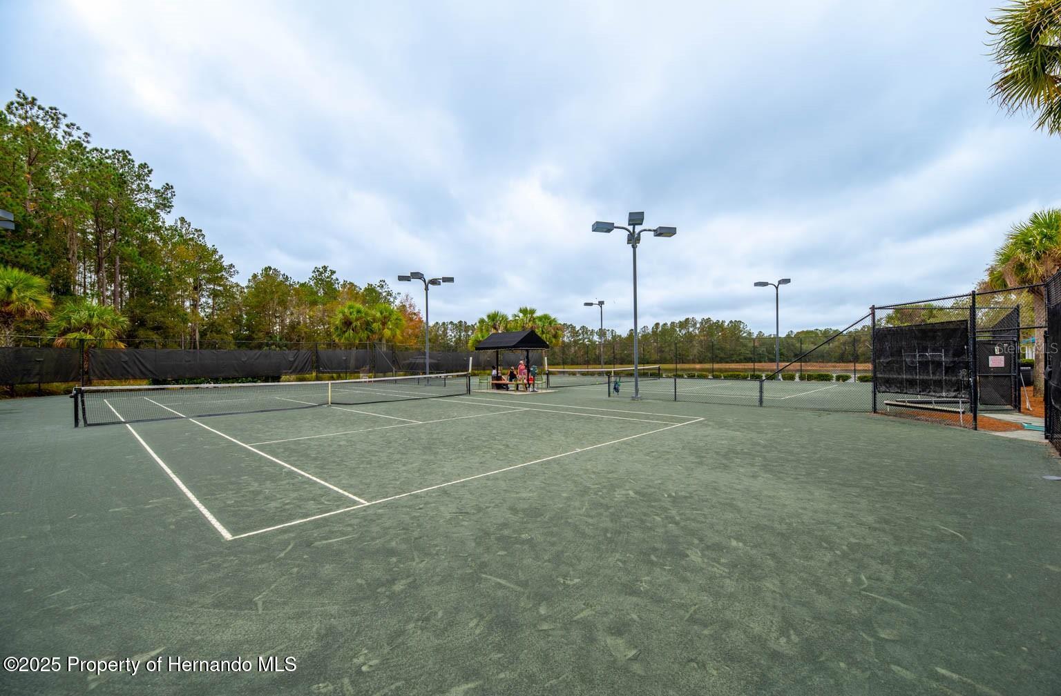 4056 Southern Valley Loop, Brooksville, Florida image 34