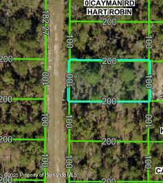 16464 Cayman Road, Weeki Wachee, Florida image 1