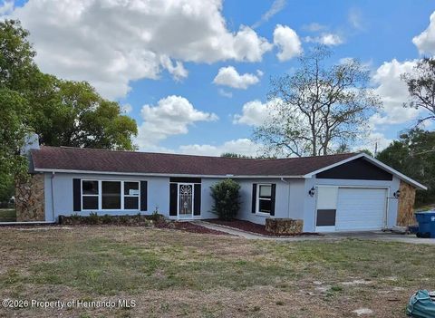 Homes For Sale - 10200 Sunburst Court<br/> Spring Hill, FL 34608