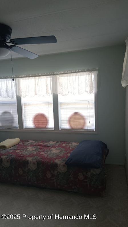29272 Heckleman Street, Brooksville, Florida image 19