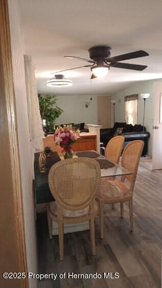 29272 Heckleman Street, Brooksville, Florida image 12