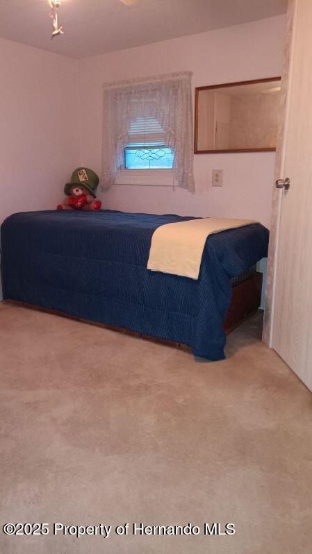 29272 Heckleman Street, Brooksville, Florida image 22