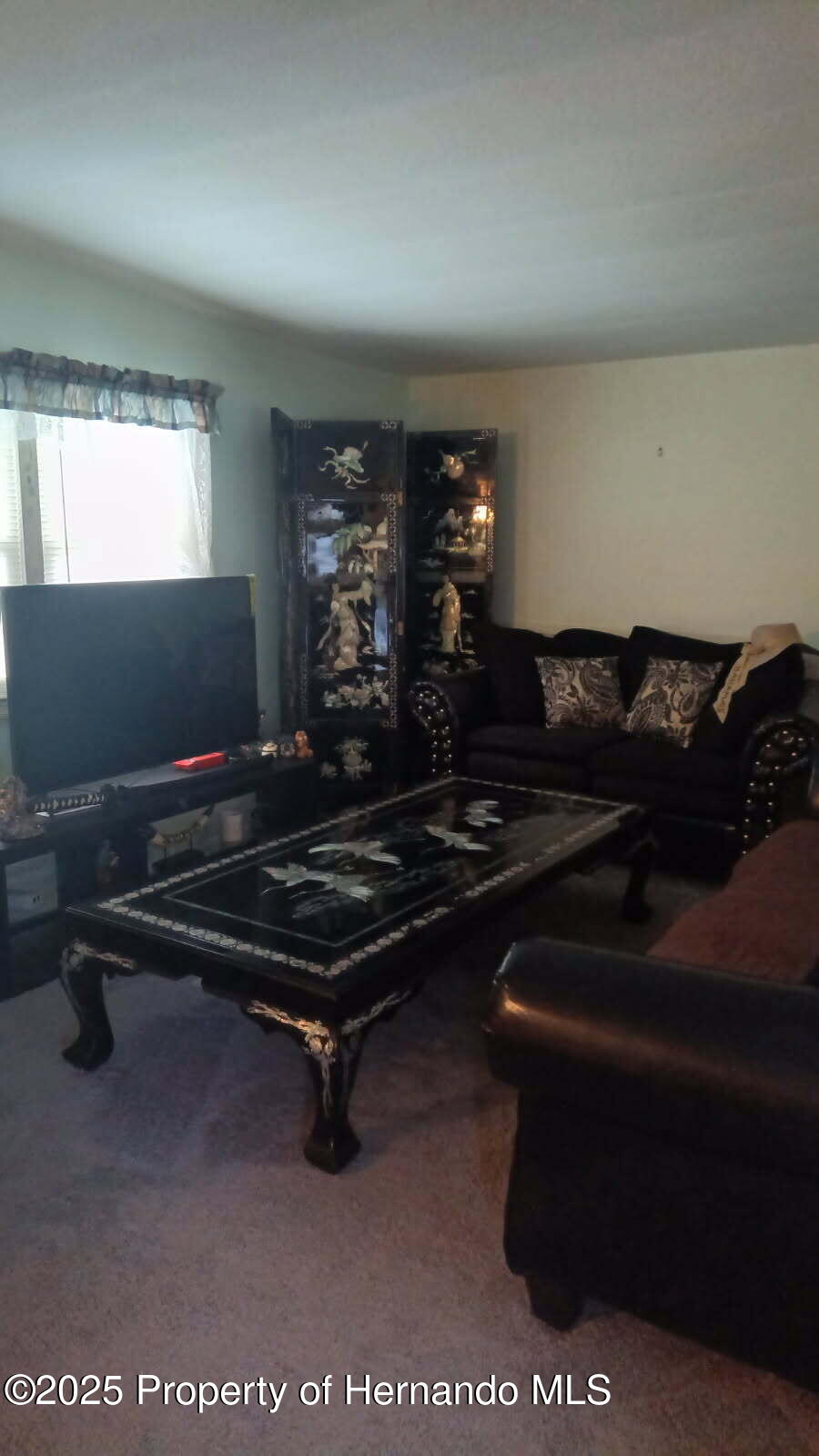 29272 Heckleman Street, Brooksville, Florida image 5