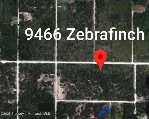 Vacant Land For Sale - 09466 Zebrafinch Avenue<br/> Brooksville, FL 34614