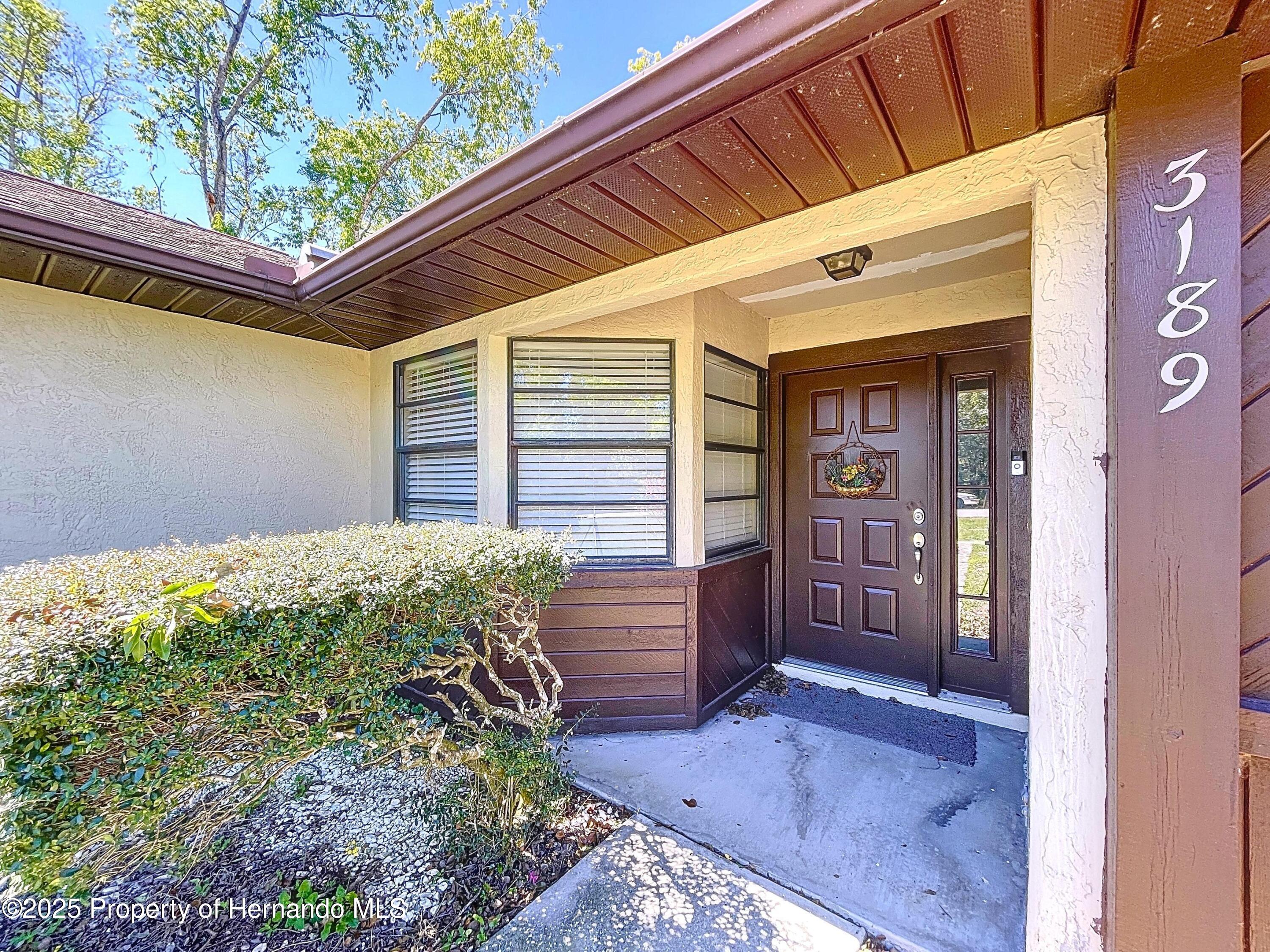 3189 Parkhill Avenue, Spring Hill, Florida image 8
