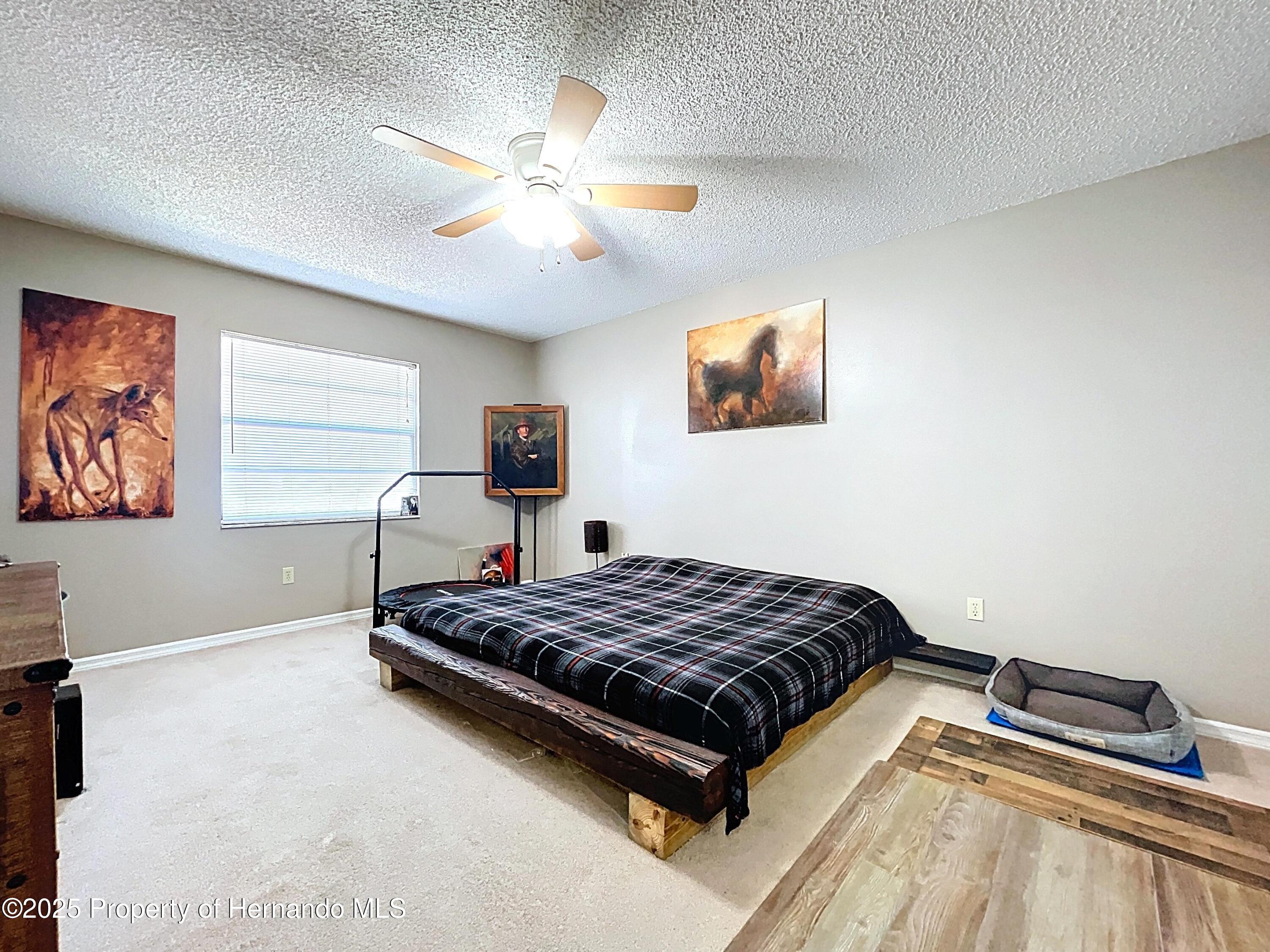 3189 Parkhill Avenue, Spring Hill, Florida image 22