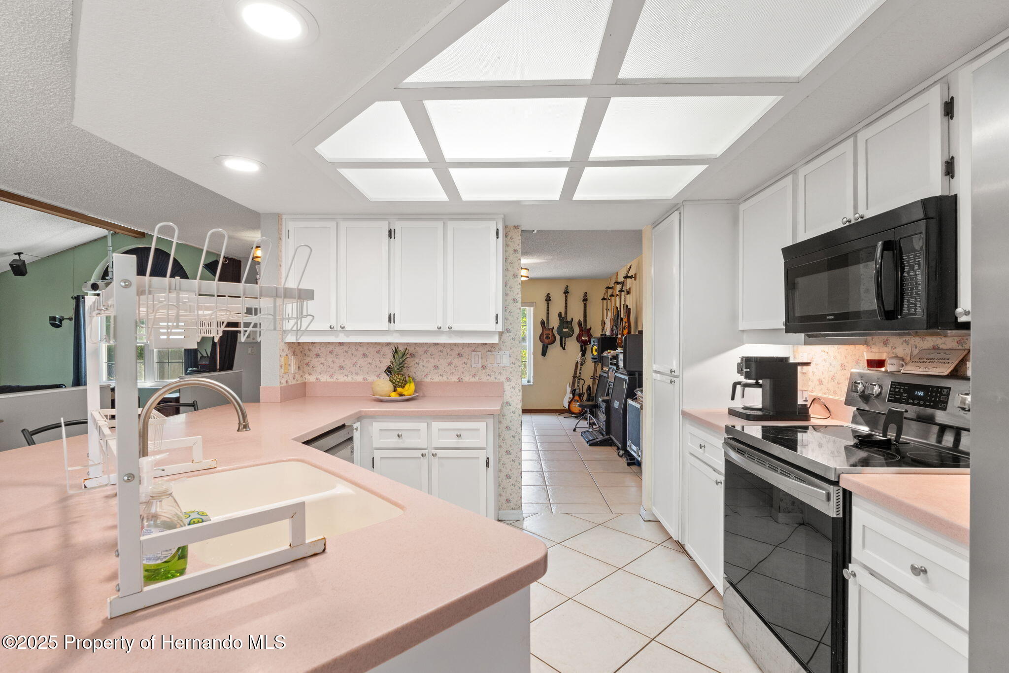 13469 Pia Court, Spring Hill, Florida image 10