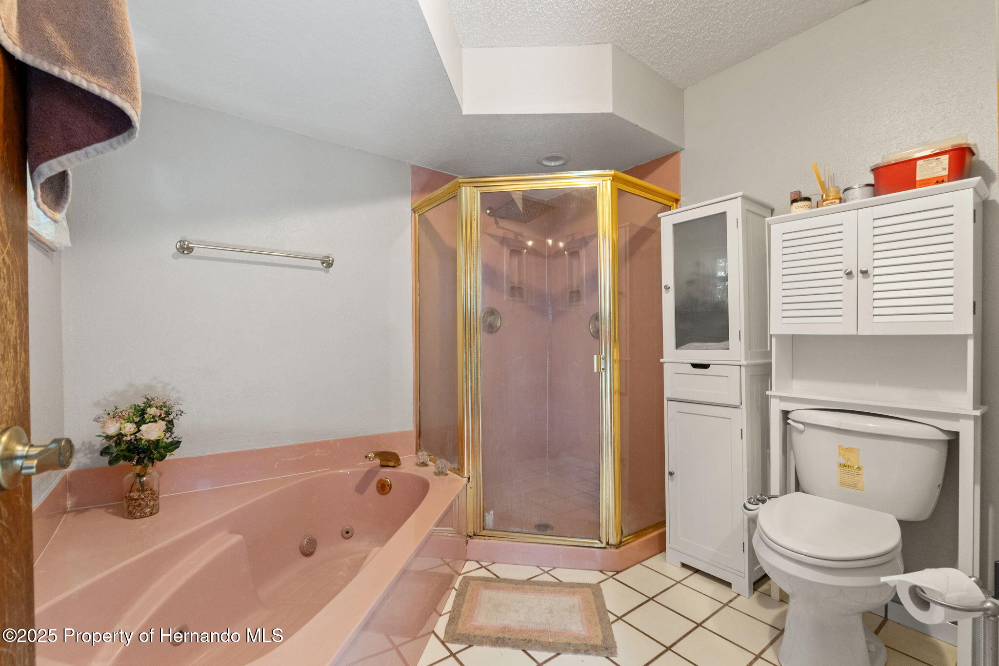 13469 Pia Court, Spring Hill, Florida image 17